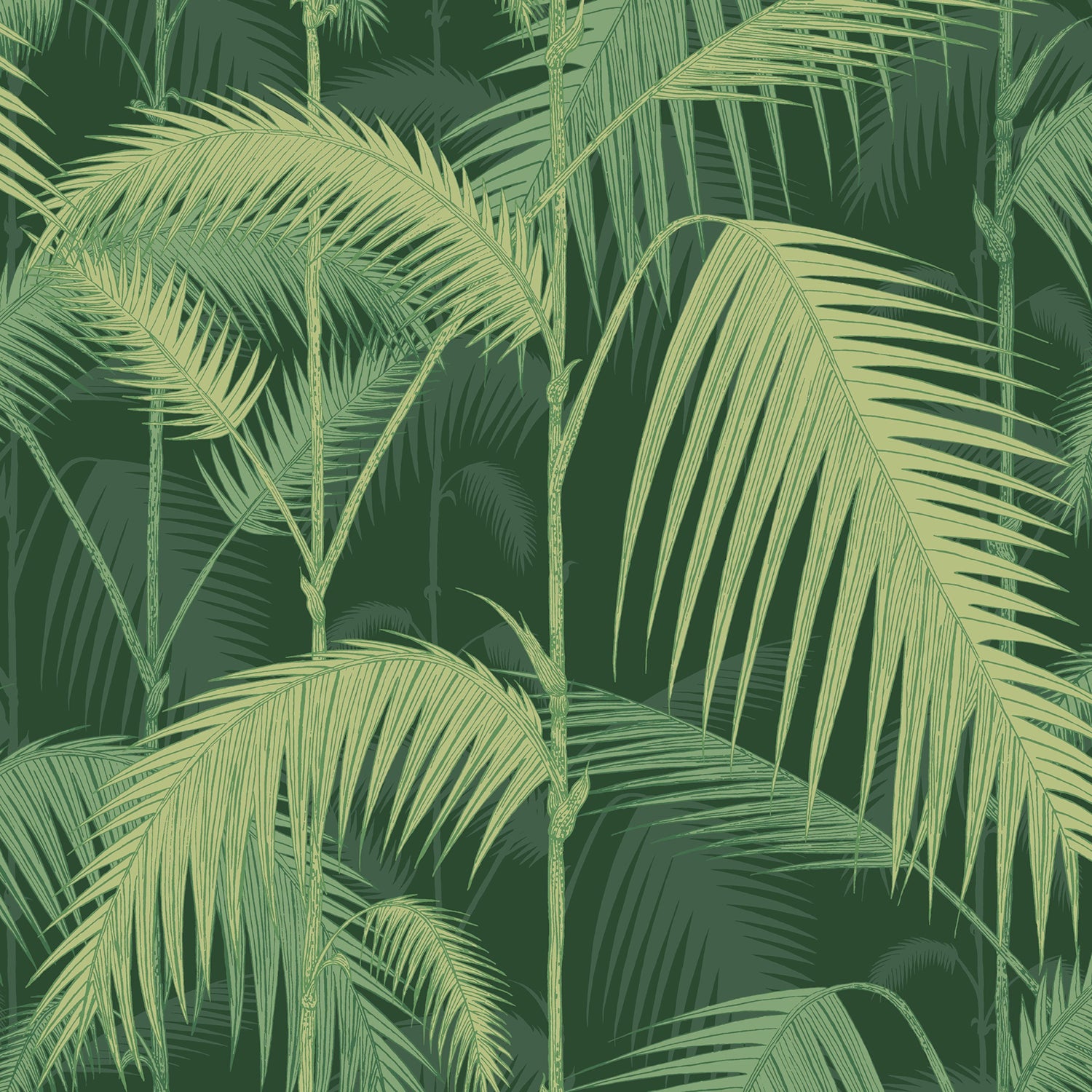 Cole & Son Icons Palm Jungle Wallpaper
