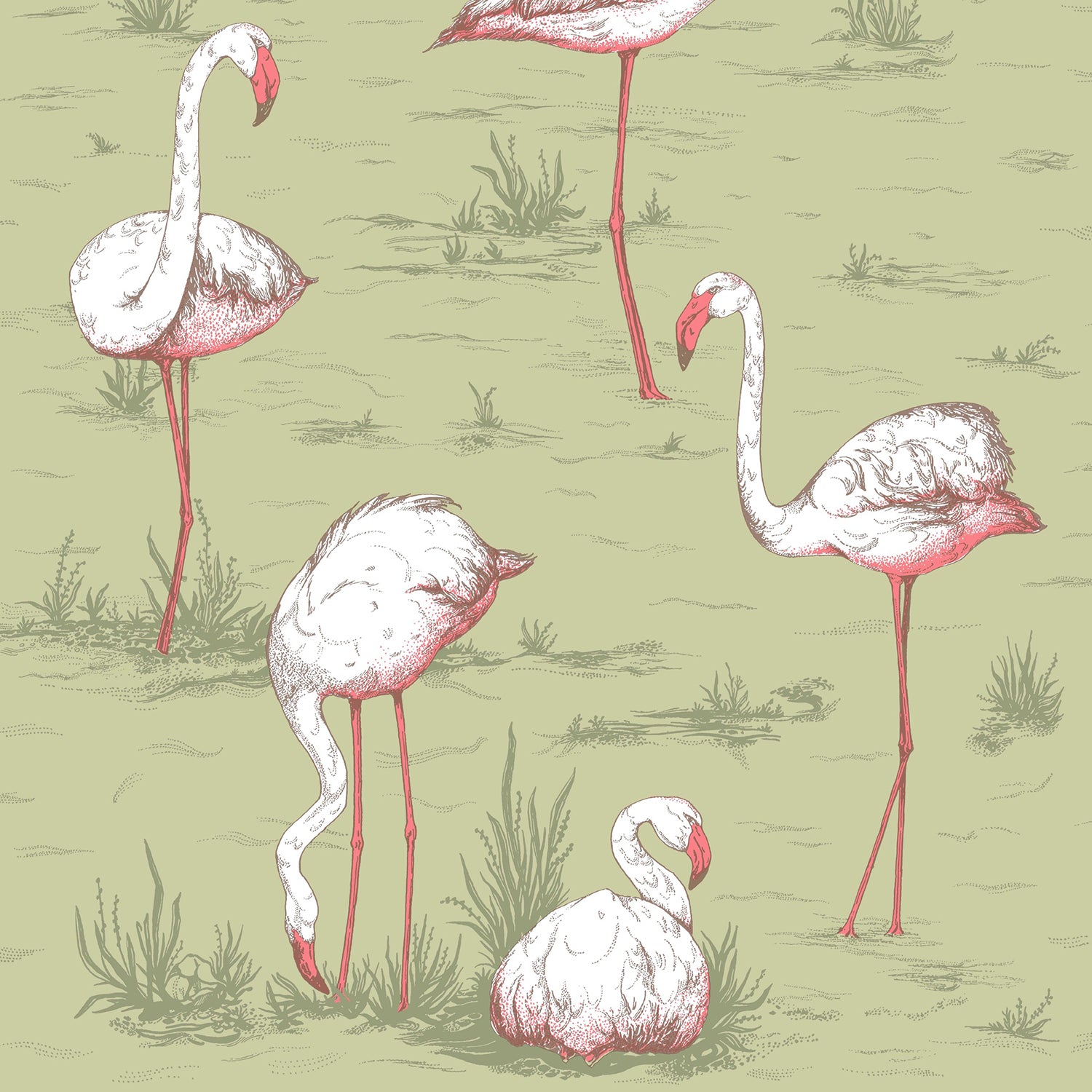 Cole & Son Icons Flamingos Wallpaper