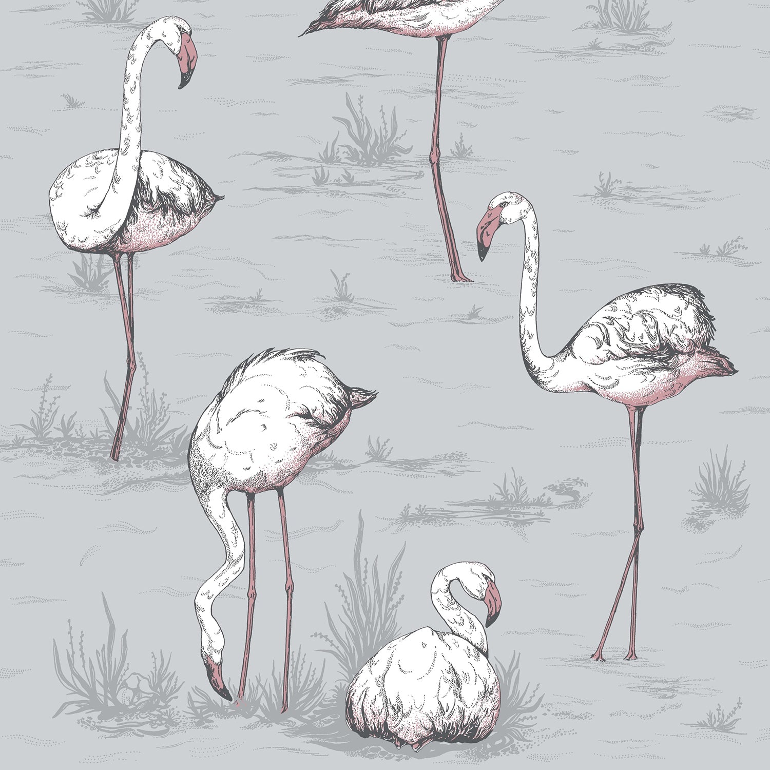 Cole & Son Icons Flamingos Wallpaper