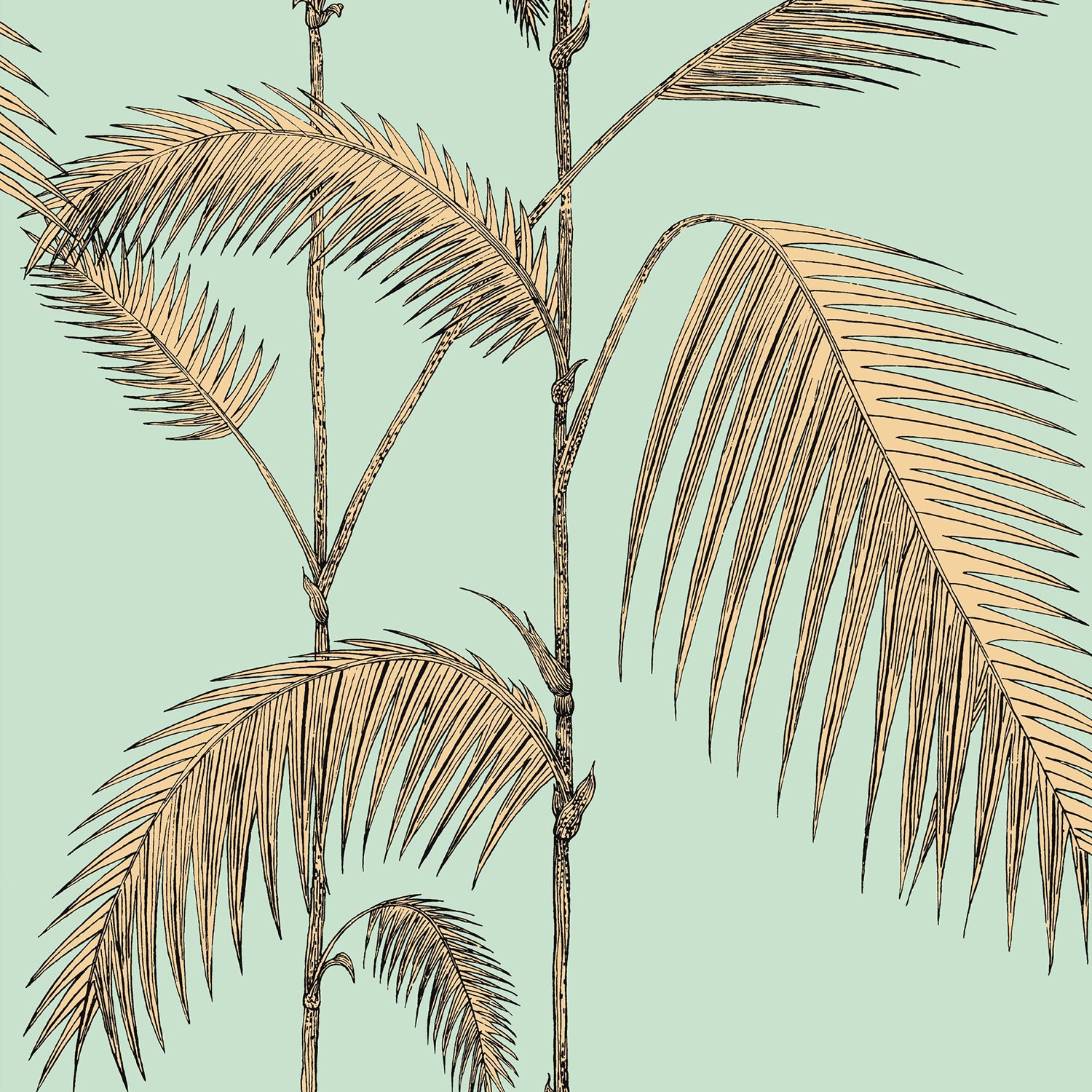 Cole & Son Icons Palm Leaves Wallpaper