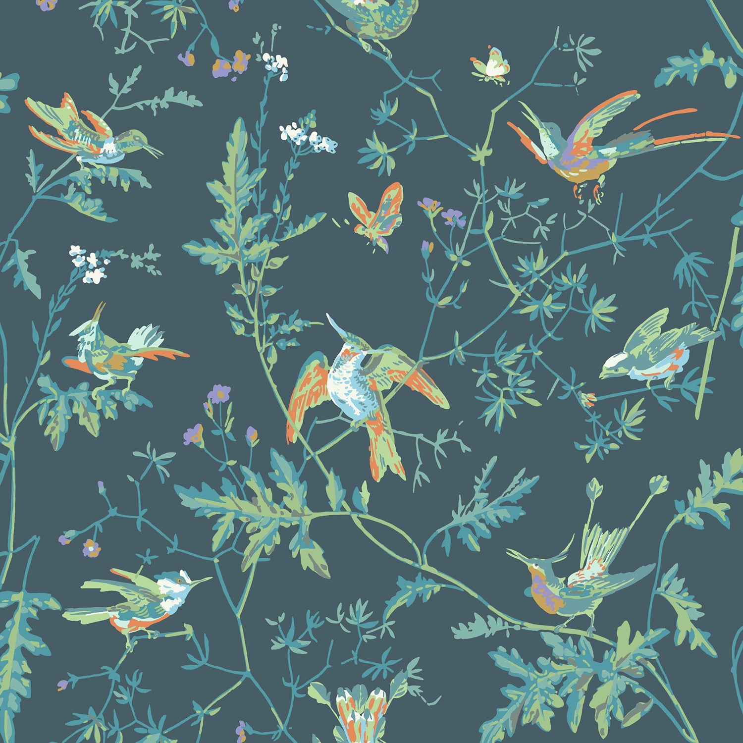 Cole & Son Selection of Hummingbirds Wallpaper