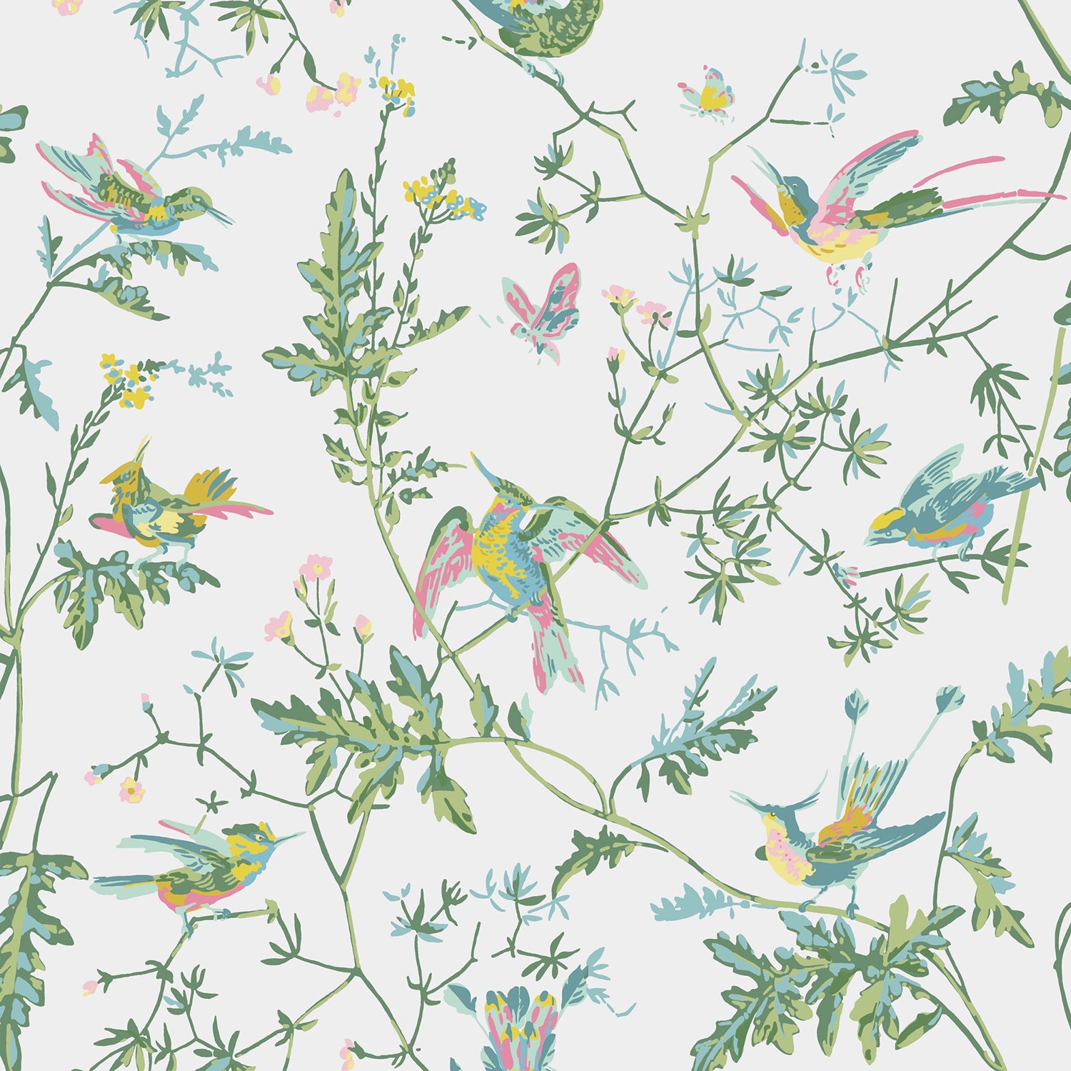Cole & Son Selection of Hummingbirds Wallpaper