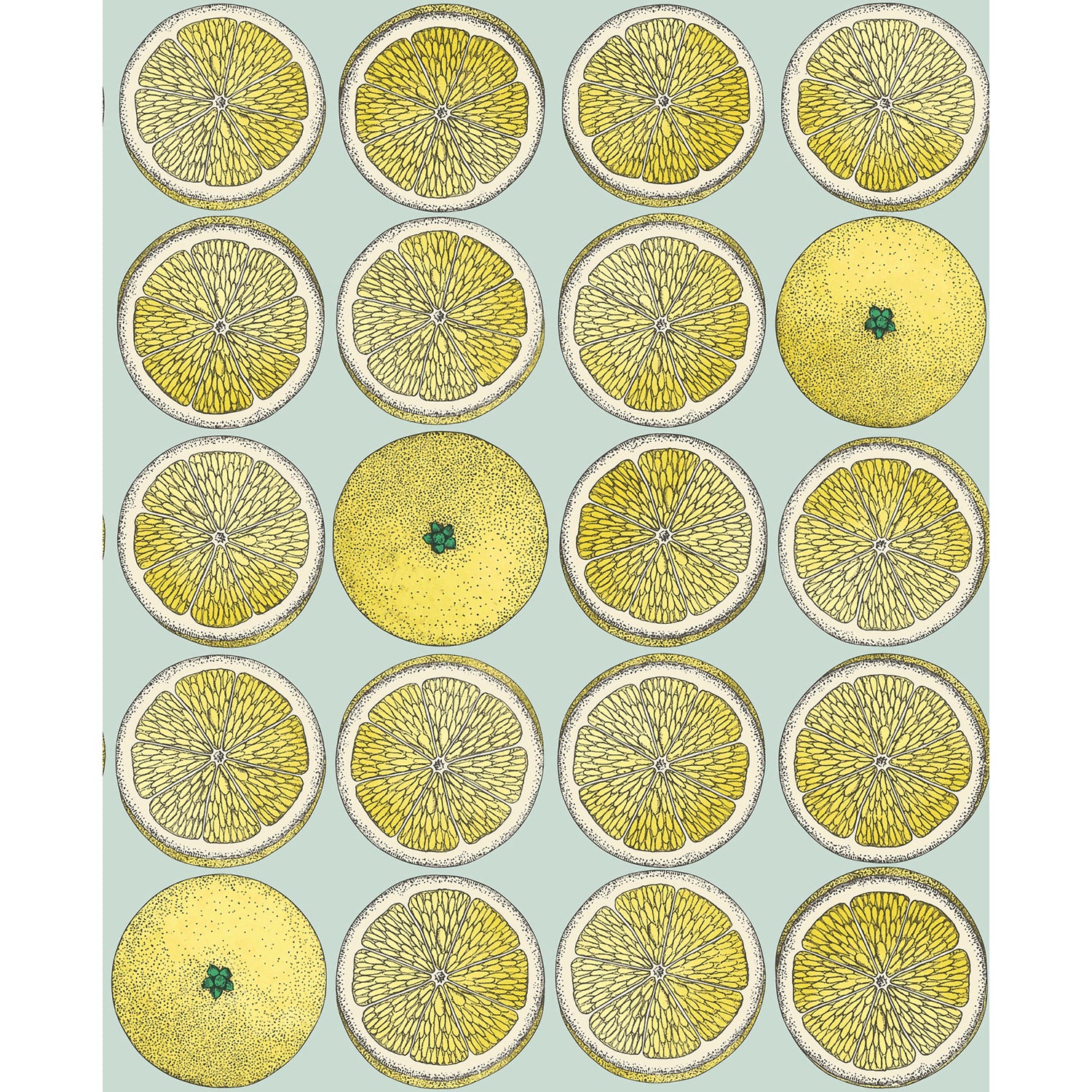 Cole & Son Fornasetti Senza Tempo Arance Wallpaper