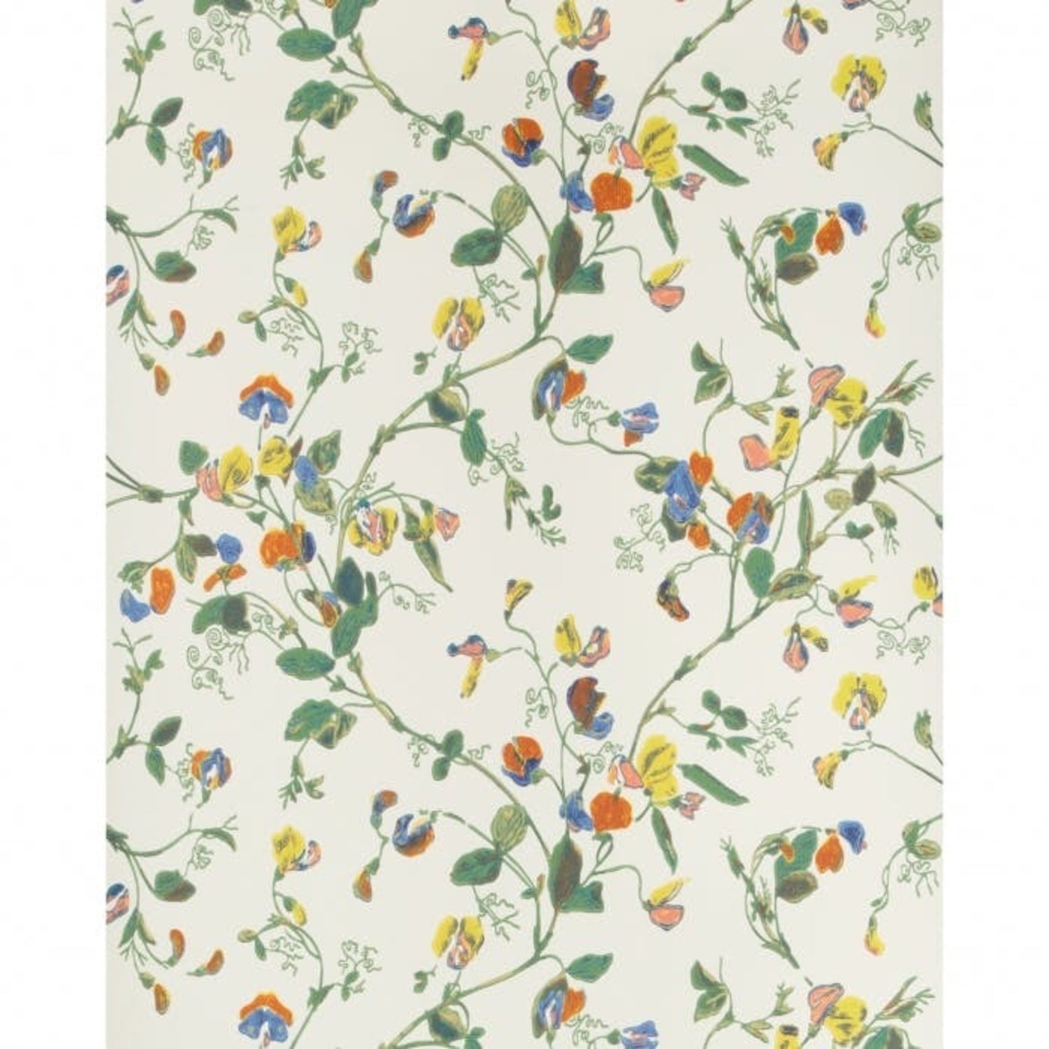 Cole & Son Anthology Sweet Pea Wallpaper