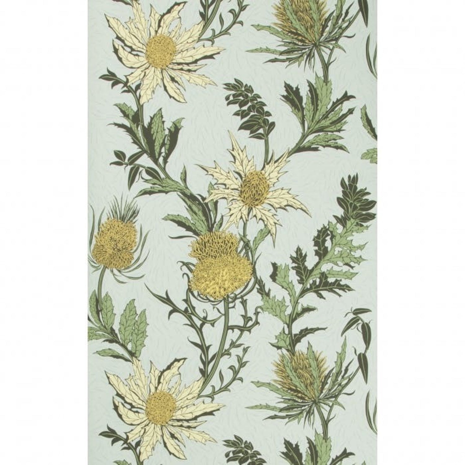 Cole & Son Botanical Botanica Thistle Wallpaper
