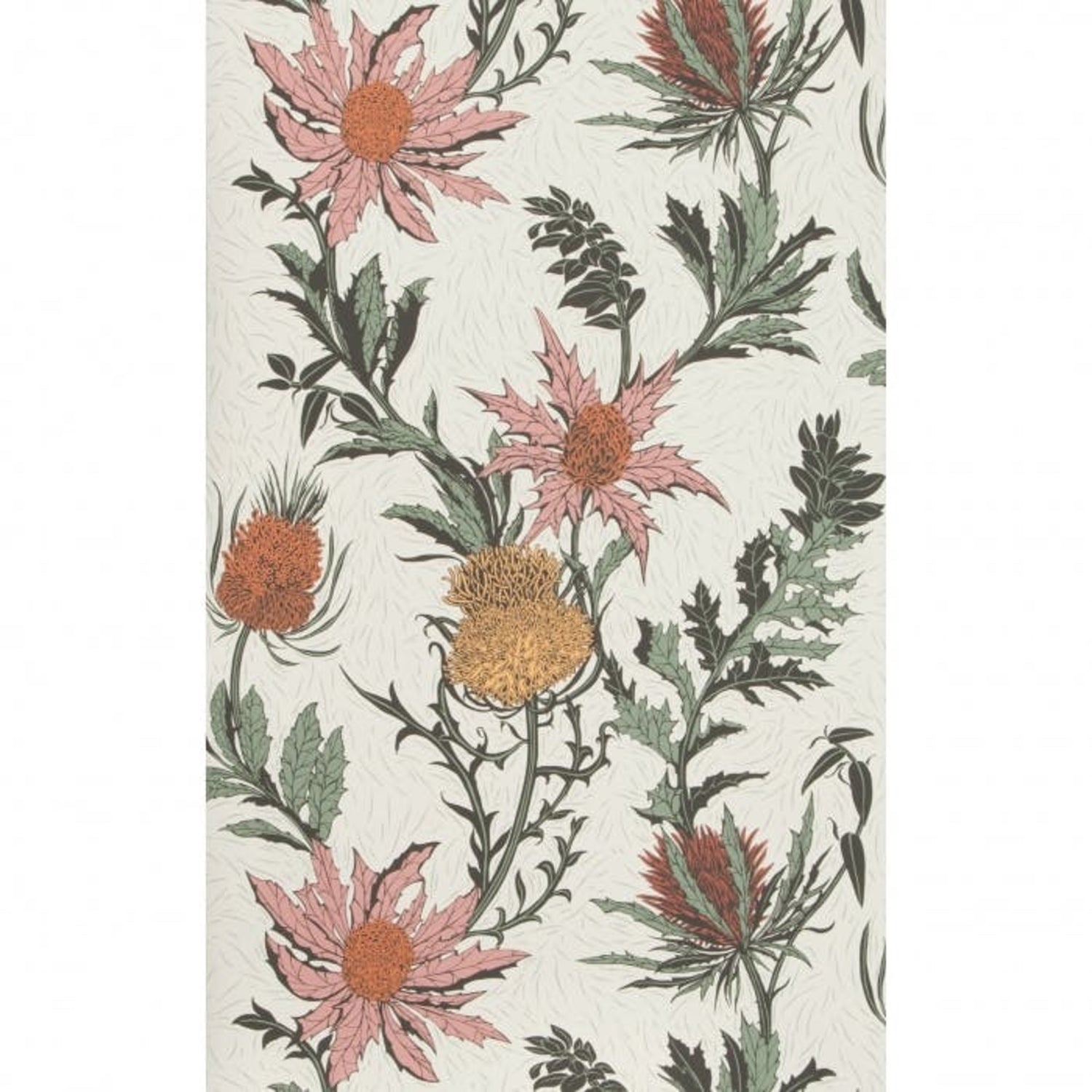 Cole & Son Botanical Botanica Thistle Wallpaper