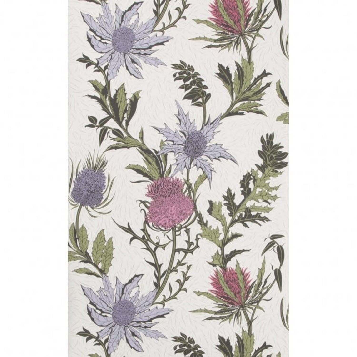 Cole & Son Botanical Botanica Thistle Wallpaper