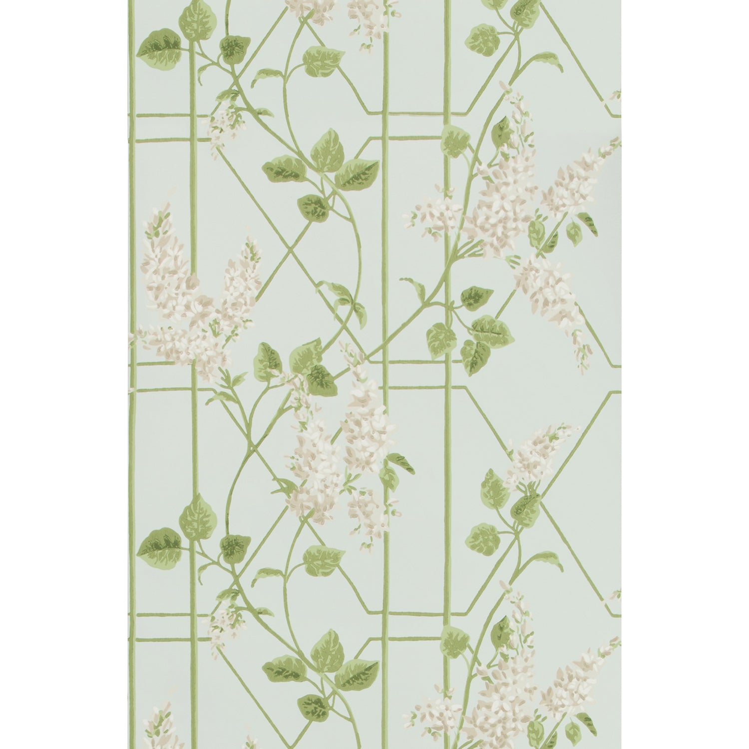 Cole & Son Botanical Botanica Wisteria Wallpaper
