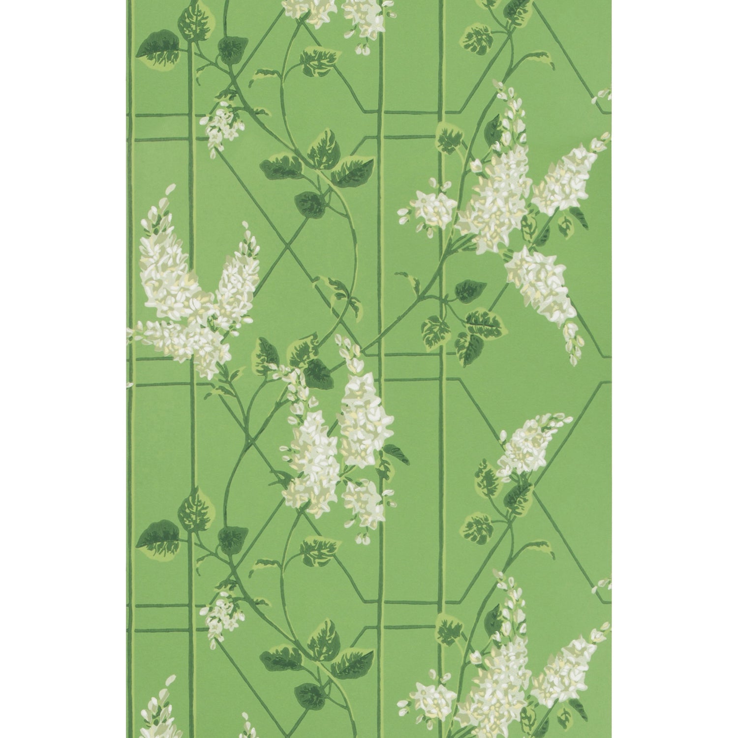Cole & Son Botanical Botanica Wisteria Wallpaper