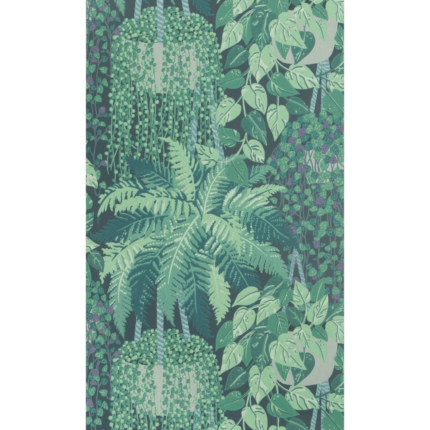 Cole & Son Botanical Botanica Fern Wallpaper
