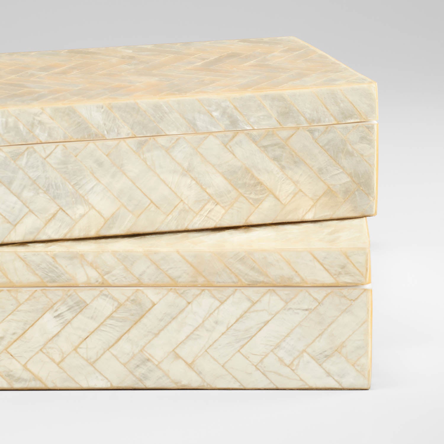 Cyan Design x J Kent Martin Triton Rectangle Box