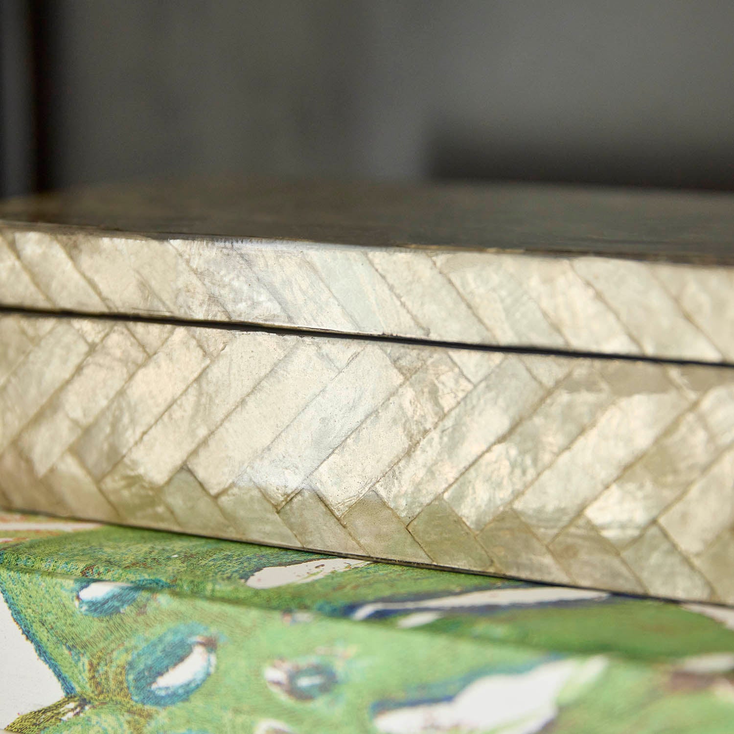 Cyan Design x J Kent Martin Triton Rectangle Box