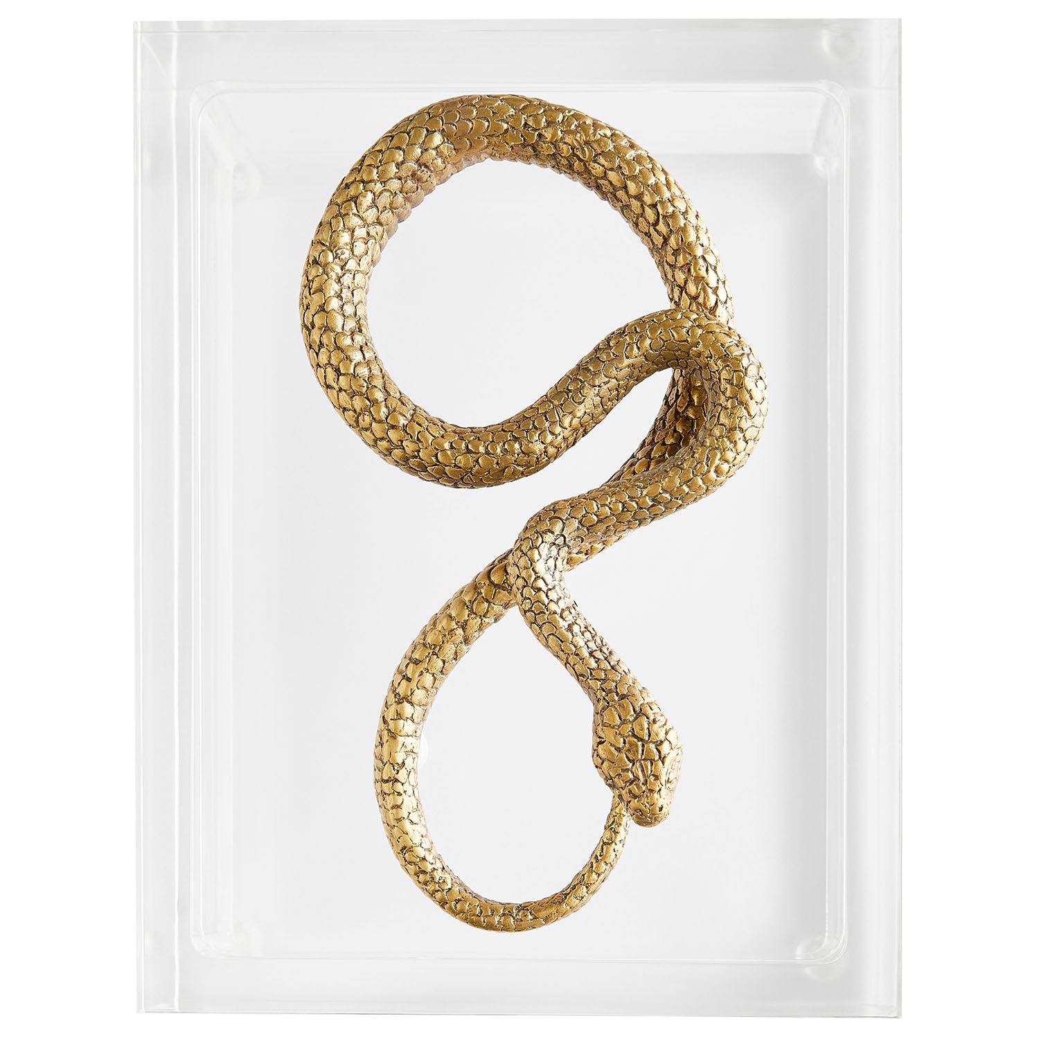 Cyan Design x Thom Filicia Snake Box