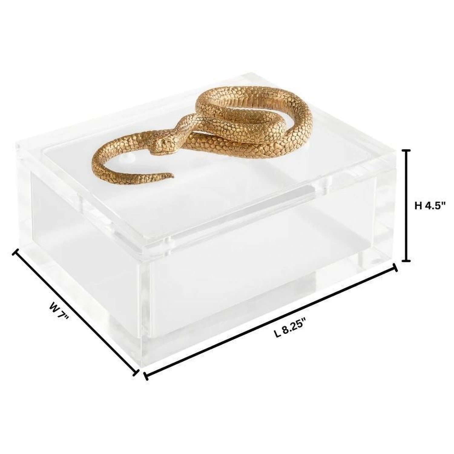 Cyan Design x Thom Filicia Snake Box