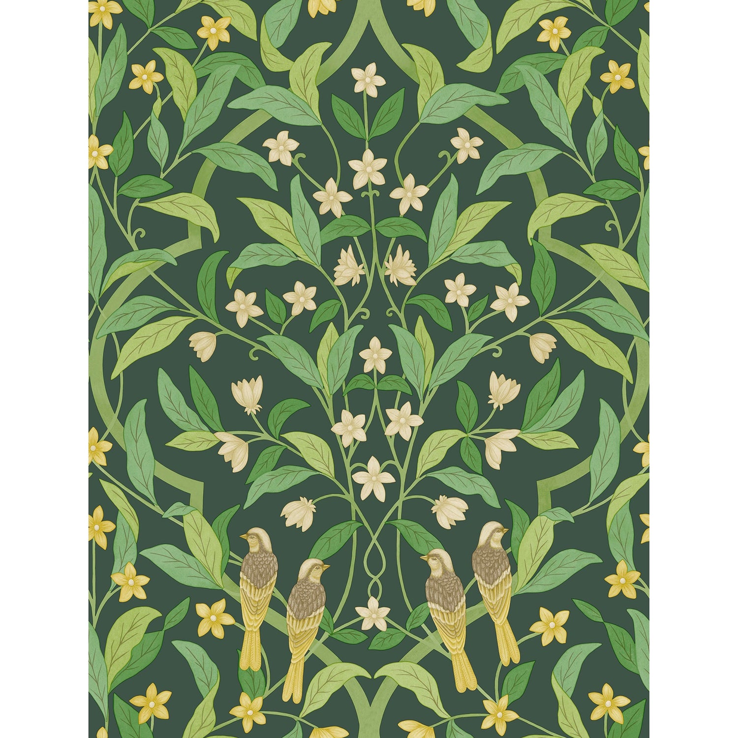 Cole & Son Seville Jasmine & Serin Symphony Wallpaper