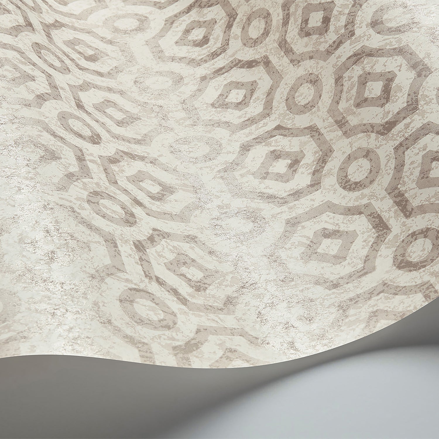 Cole & Son Historic Royal Palaces Great Masters Queens Quarters Wallpaper