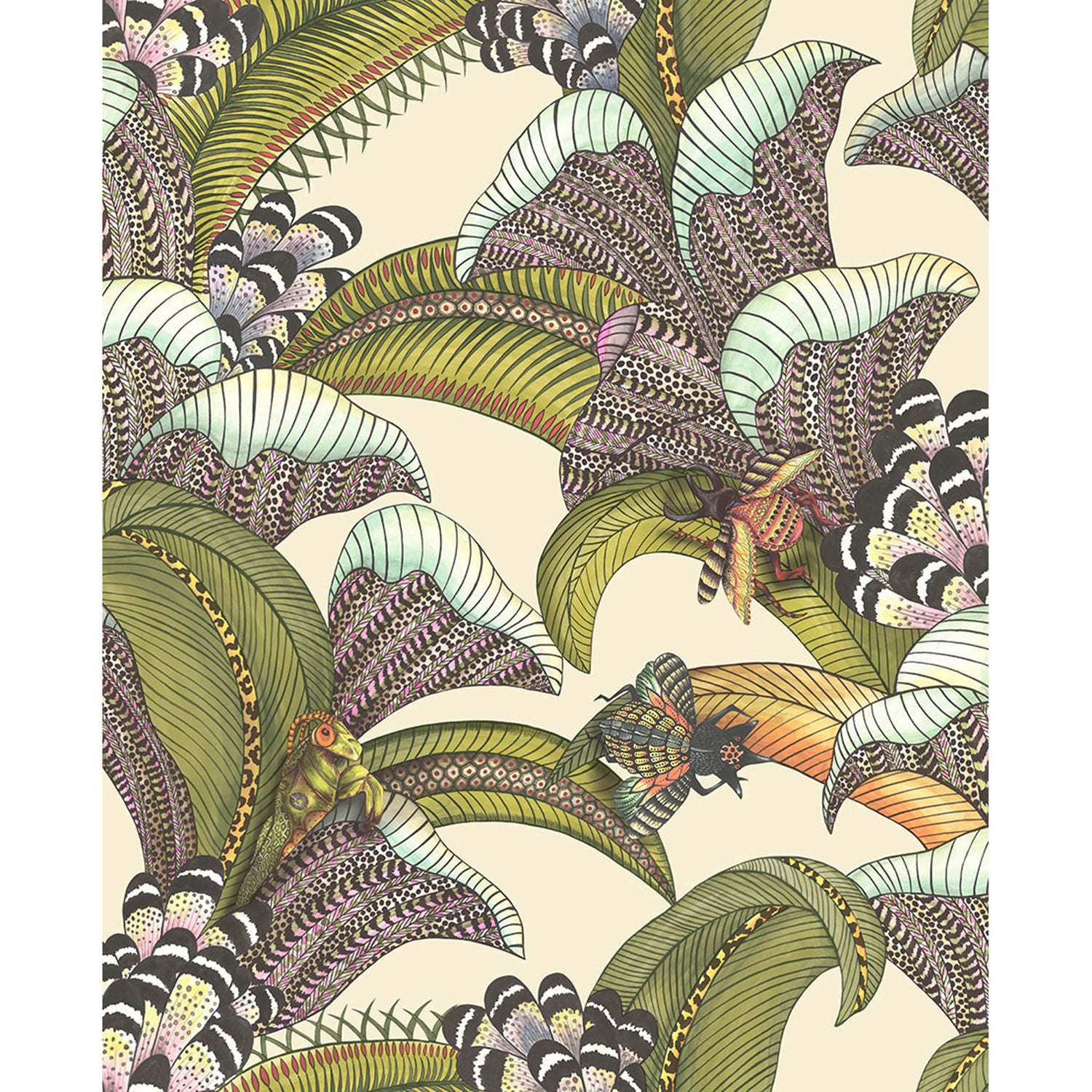 Cole & Son Ardmore Jabula Hoopoe Leaves Wallpaper