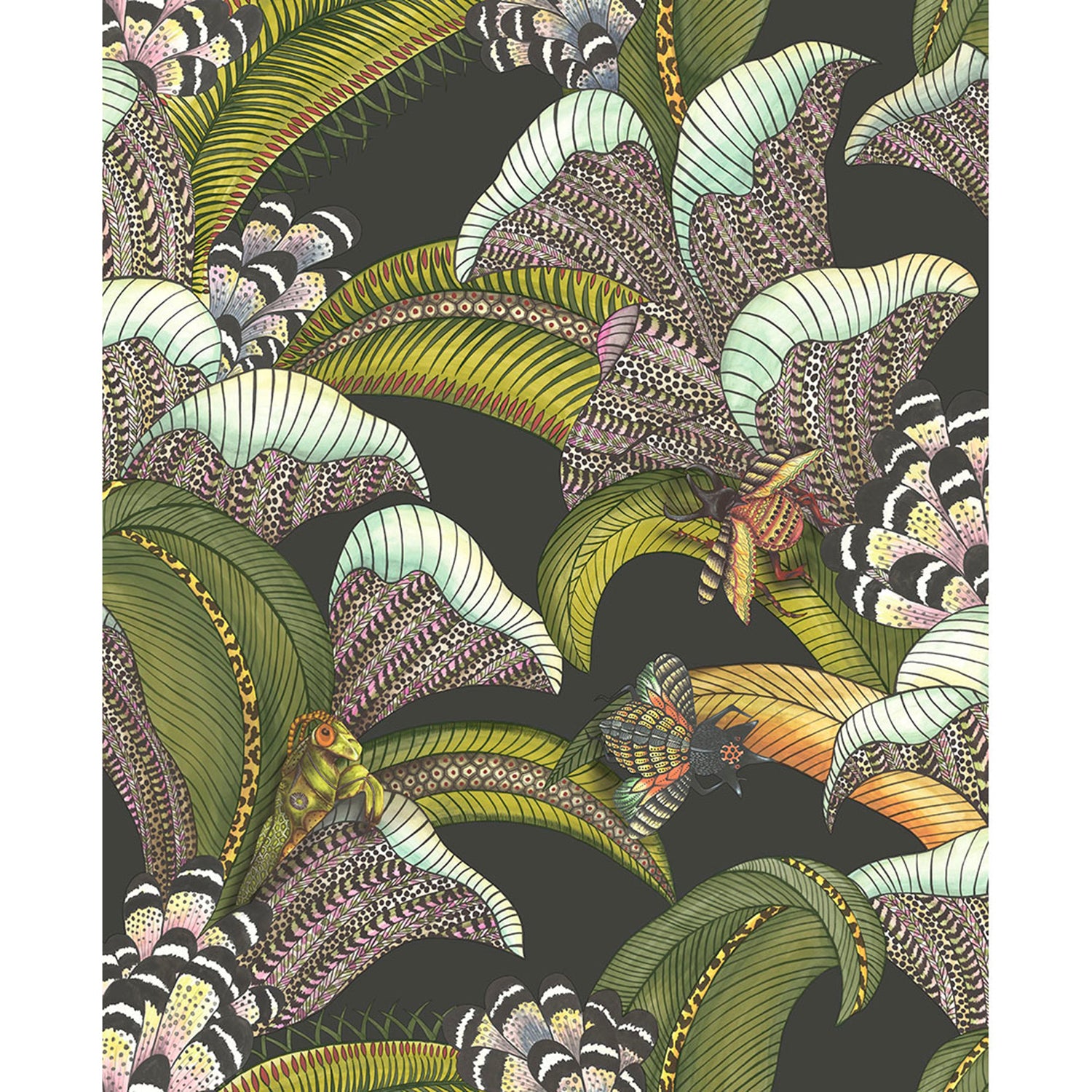 Cole & Son Ardmore Jabula Hoopoe Leaves Wallpaper