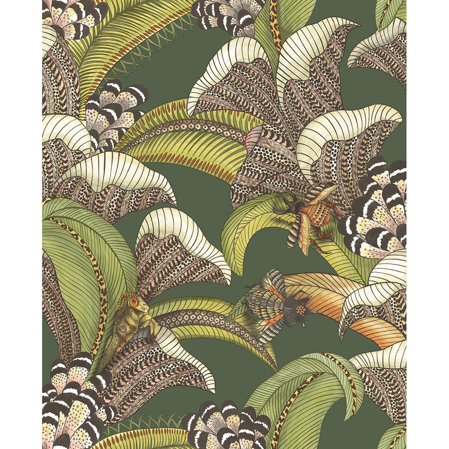 Cole & Son Ardmore Jabula Hoopoe Leaves Wallpaper