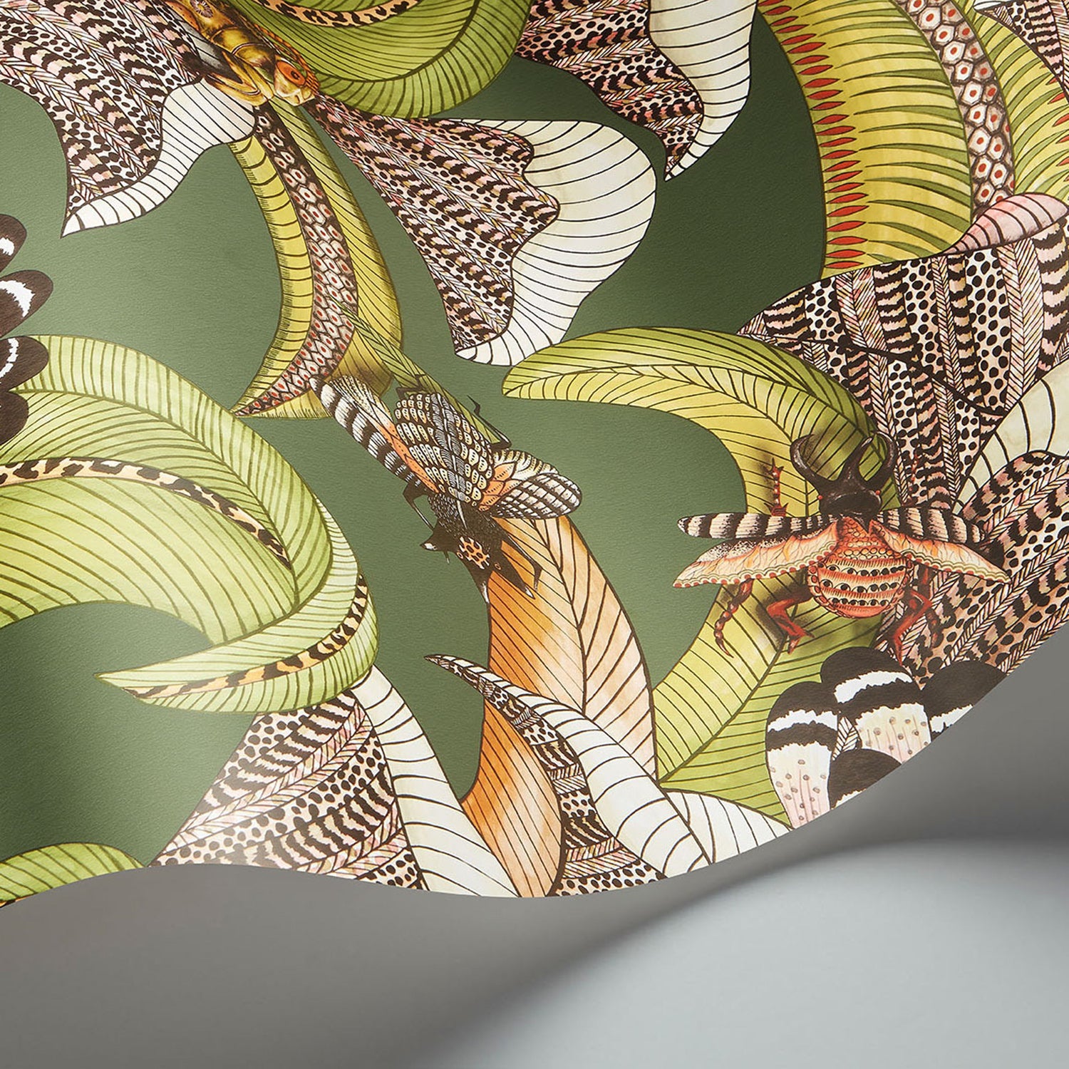 Cole & Son Ardmore Jabula Hoopoe Leaves Wallpaper