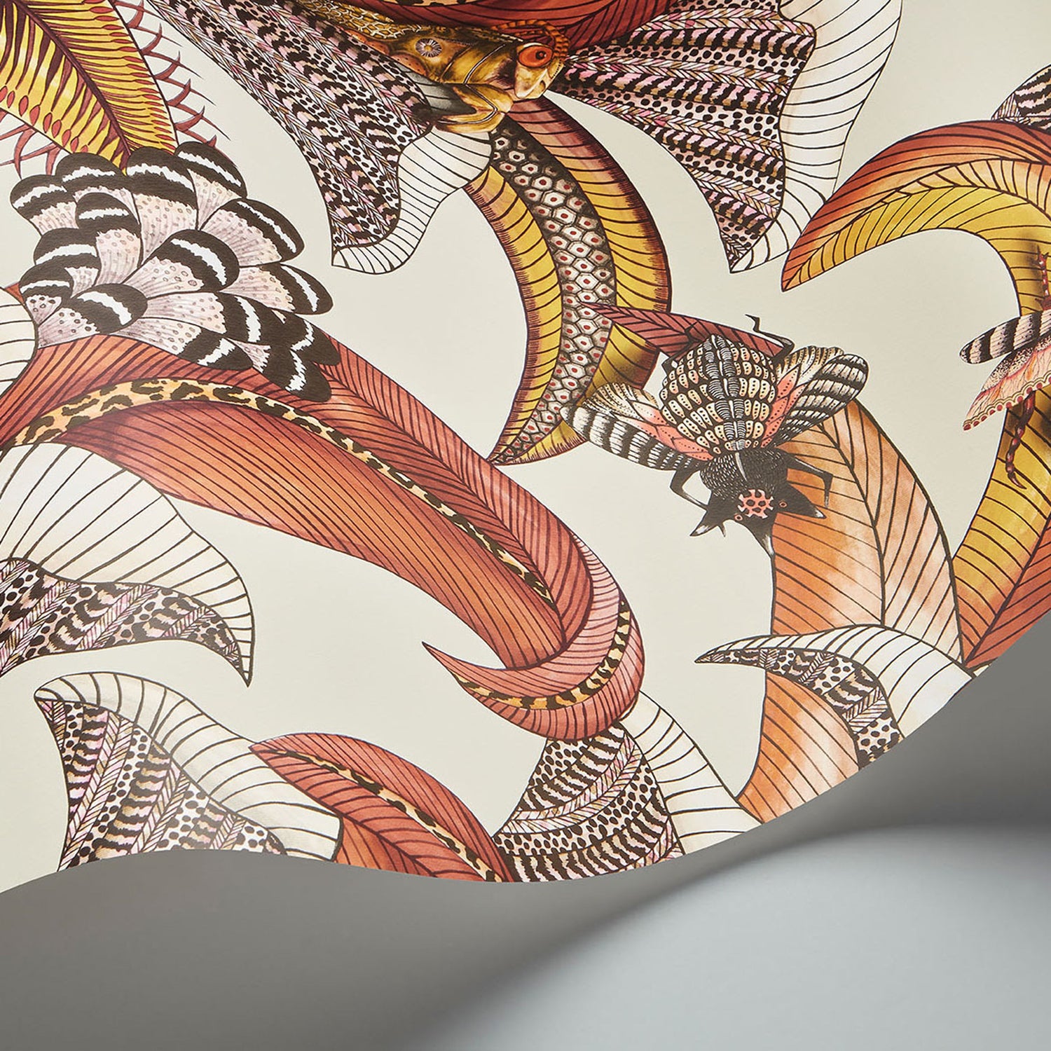 Cole & Son Ardmore Jabula Hoopoe Leaves Wallpaper