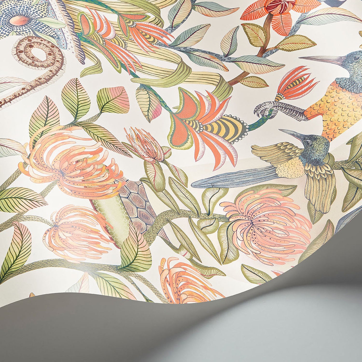 Cole & Son Ardmore Jabula Protea Garden Wallpaper