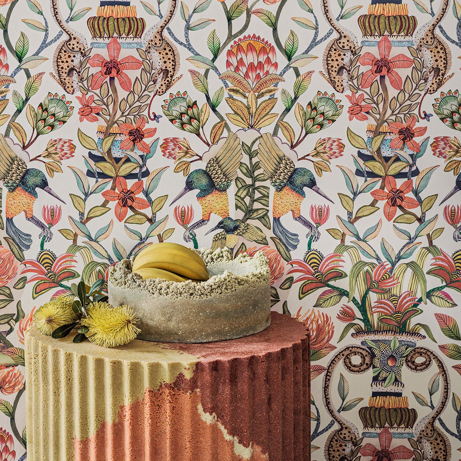 Cole & Son Ardmore Jabula Protea Garden Wallpaper
