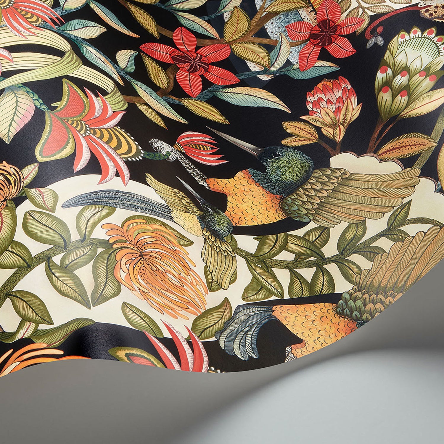 Cole & Son Ardmore Jabula Protea Garden Wallpaper