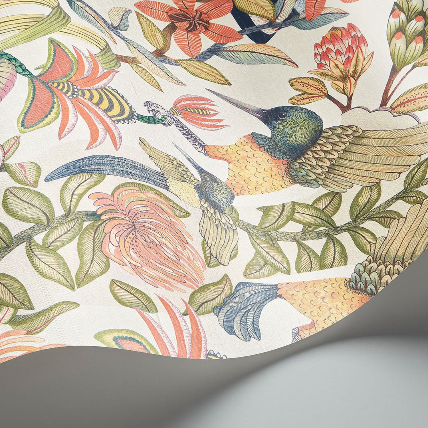 Cole & Son Ardmore Jabula Protea Garden Silk Wallpaper