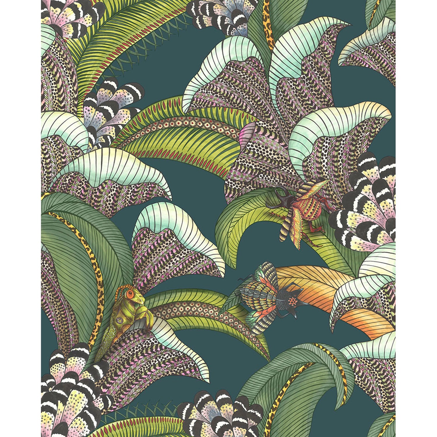Cole & Son Ardmore Jabula Hoopoe Leaves Wallpaper