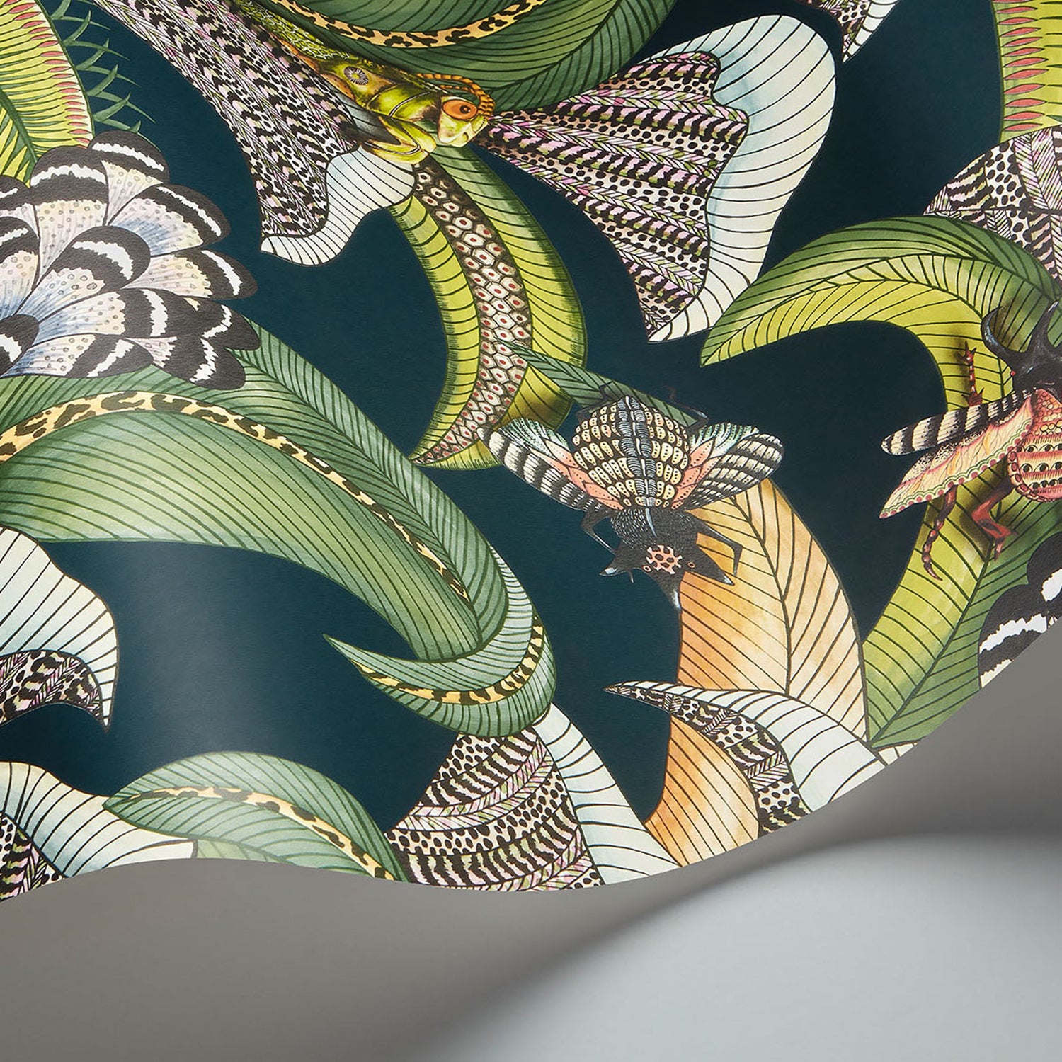 Cole & Son Ardmore Jabula Hoopoe Leaves Wallpaper