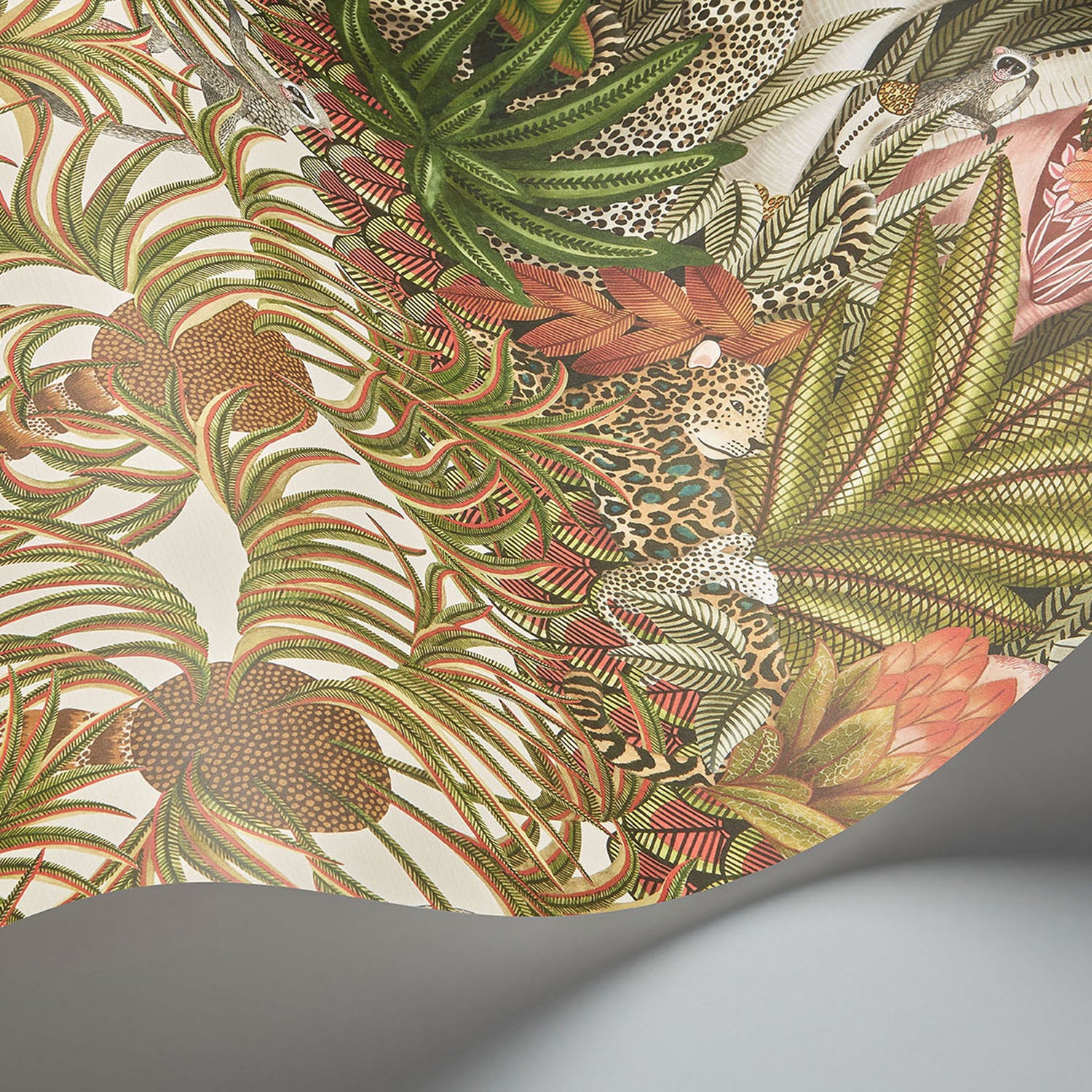 Cole & Son Ardmore Jabula Letaba March Wallpaper