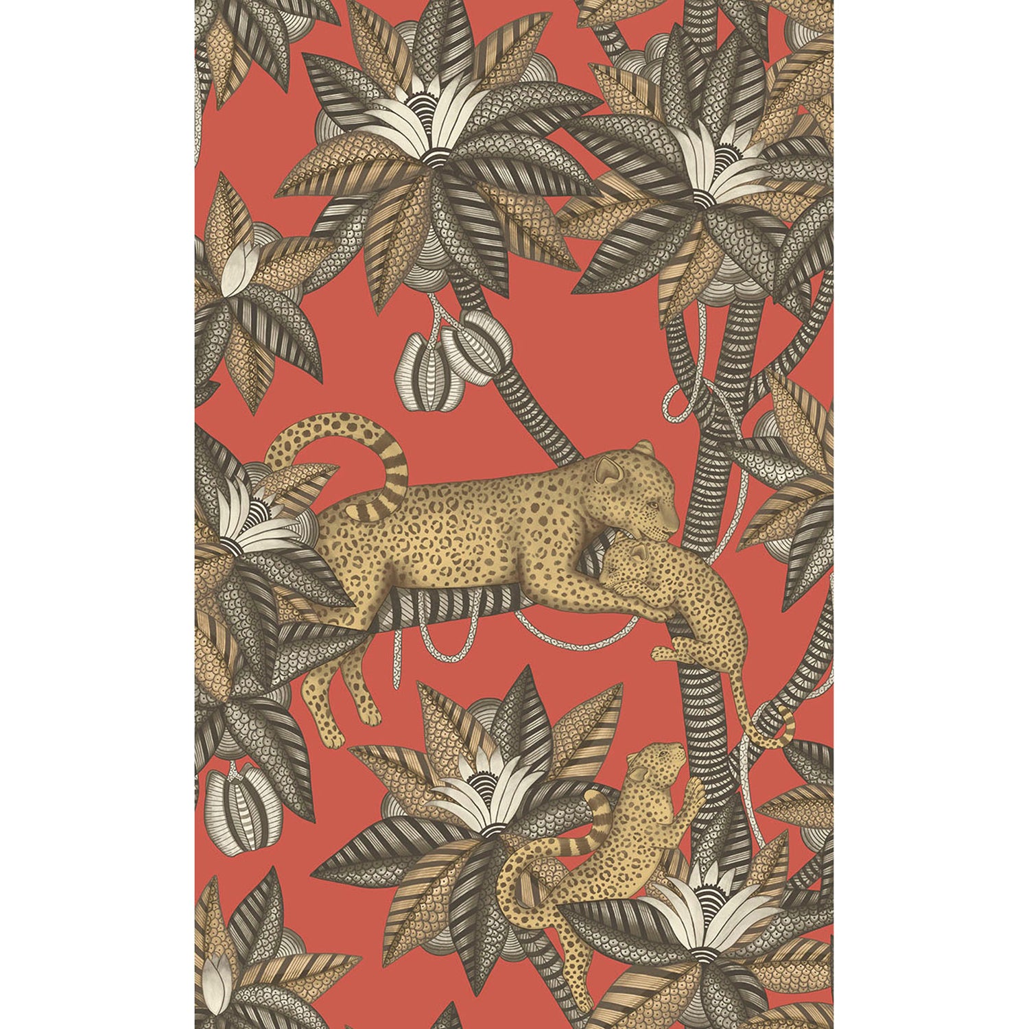 Cole & Son Ardmore Jabula Satara Wallpaper