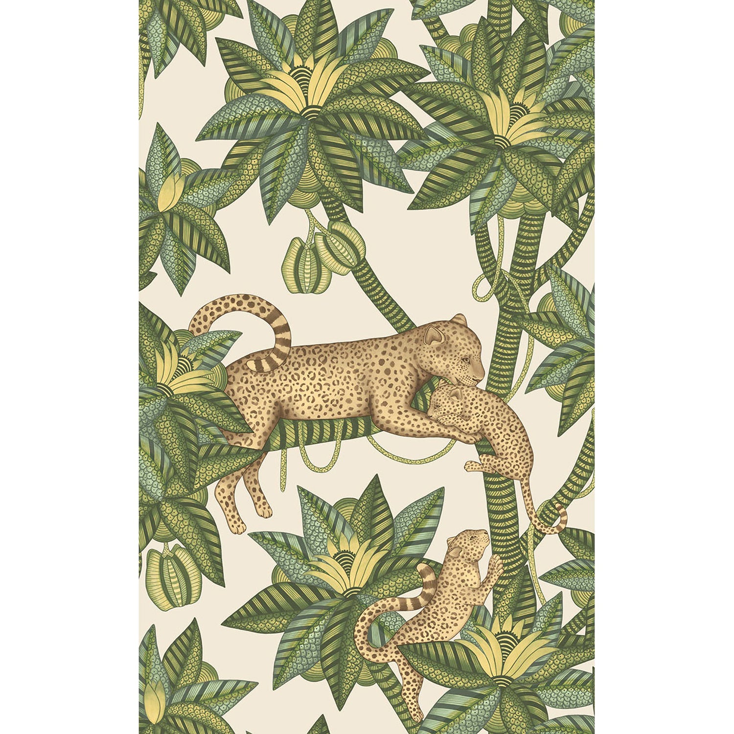 Cole & Son Ardmore Jabula Satara Wallpaper