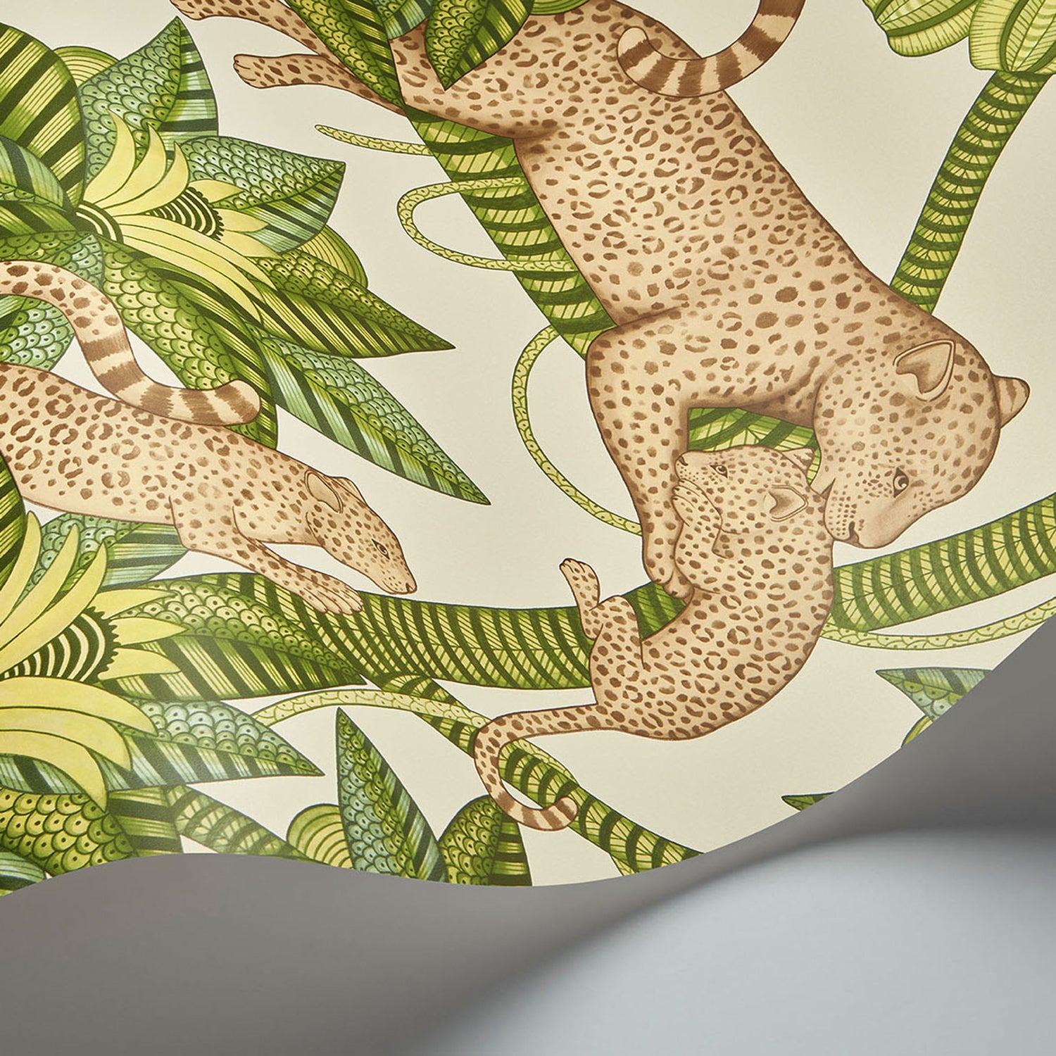 Cole & Son Ardmore Jabula Satara Wallpaper