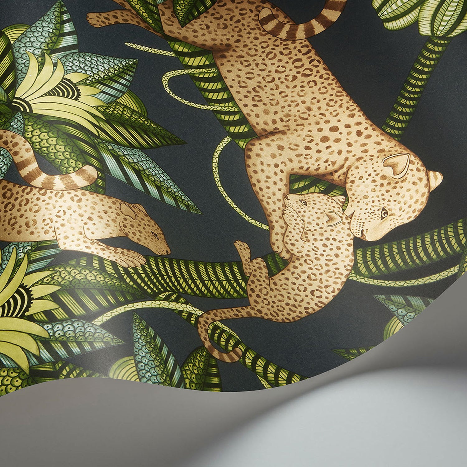 Cole & Son Ardmore Jabula Satara Wallpaper