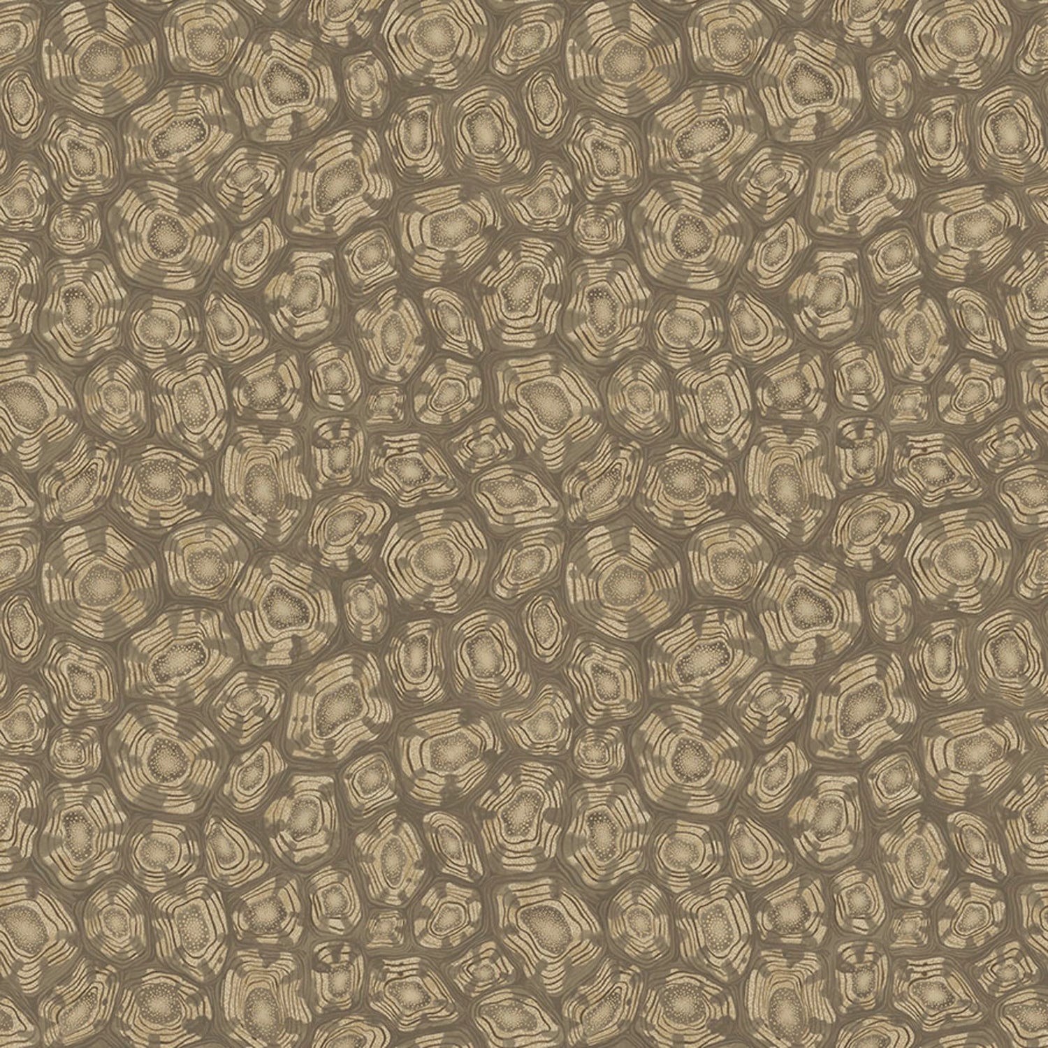 Cole & Son Ardmore Jabula Savanna Shell Wallpaper