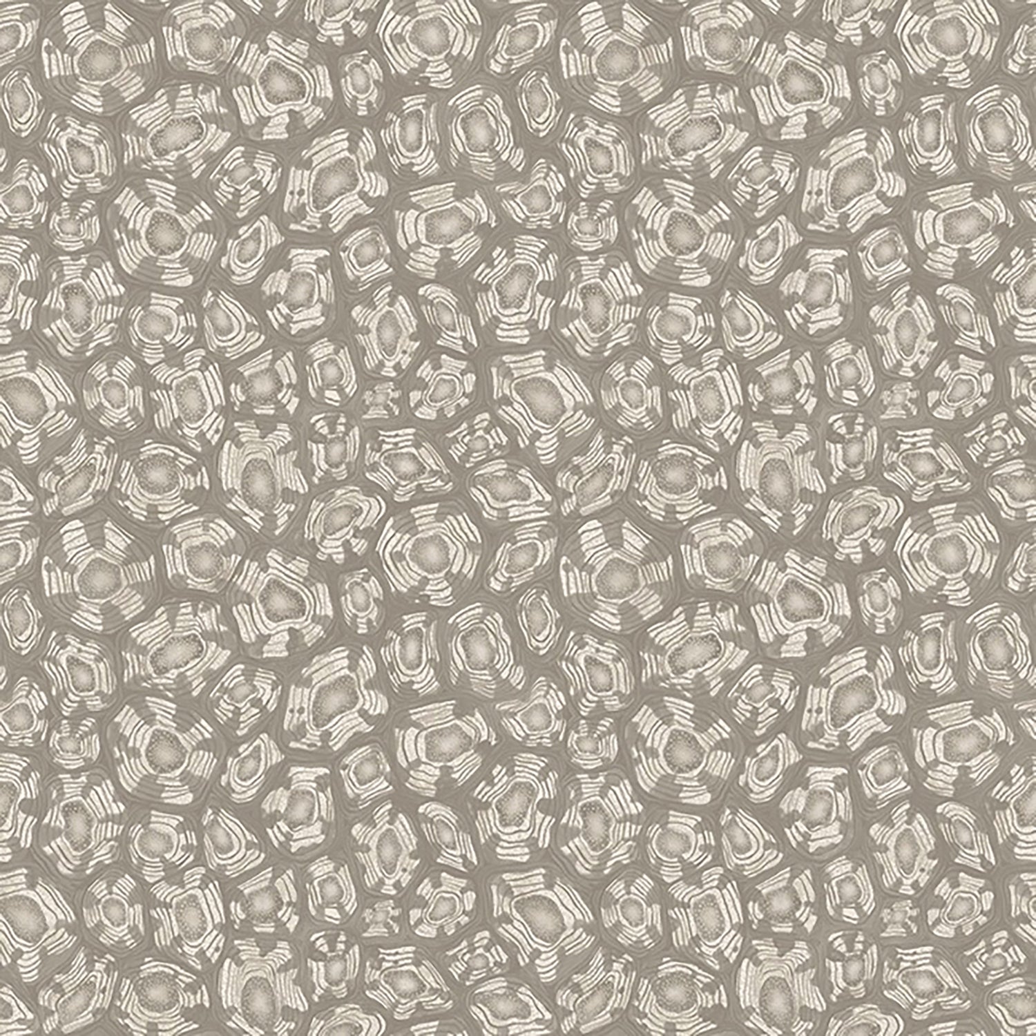 Cole & Son Ardmore Jabula Savanna Shell Wallpaper