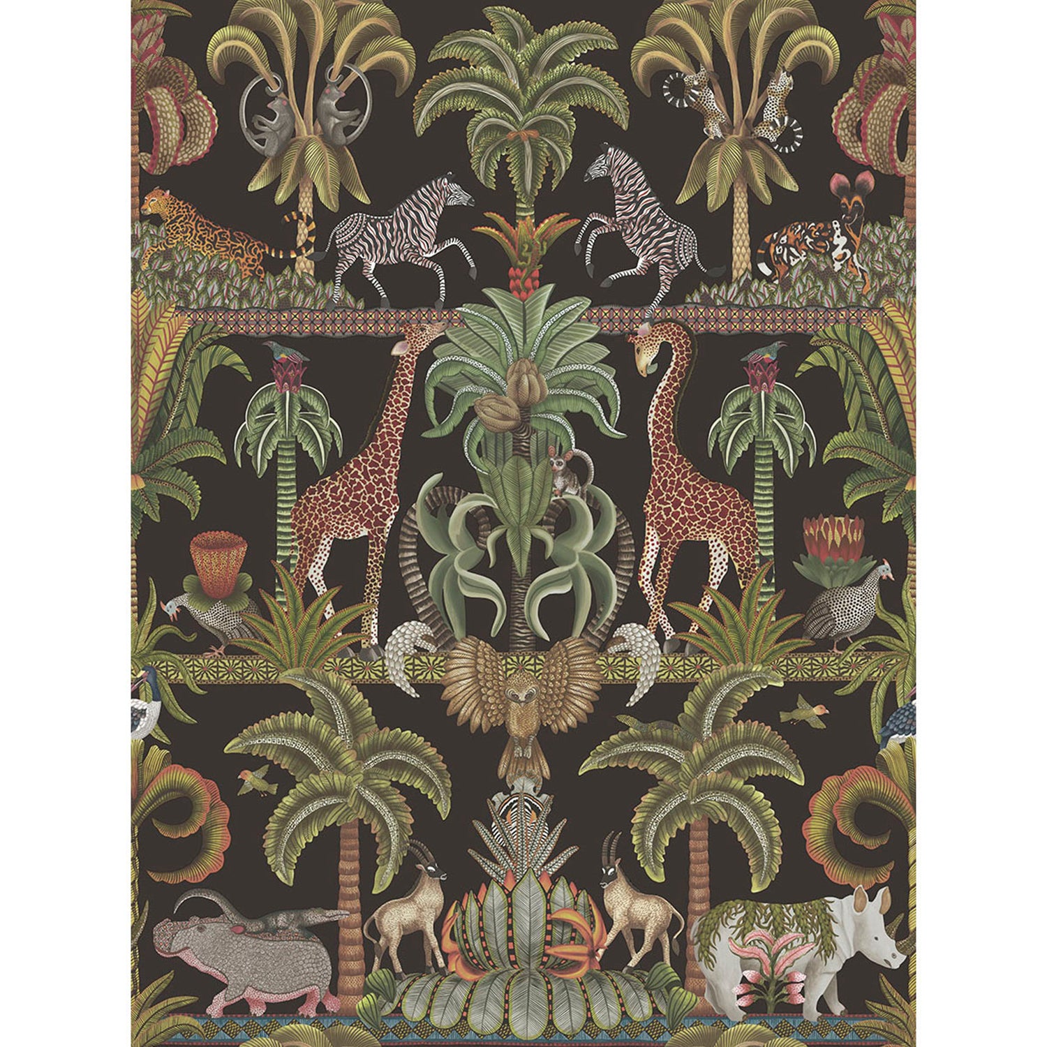 Cole & Son Ardmore Jabula Afrika Kingdom Wallpaper