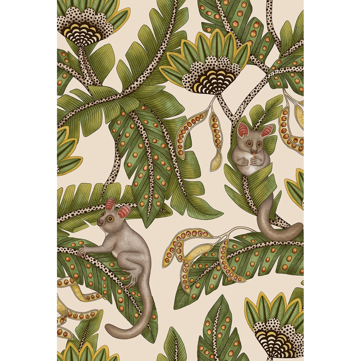 Cole & Son Ardmore Jabula Bush Baby Wallpaper