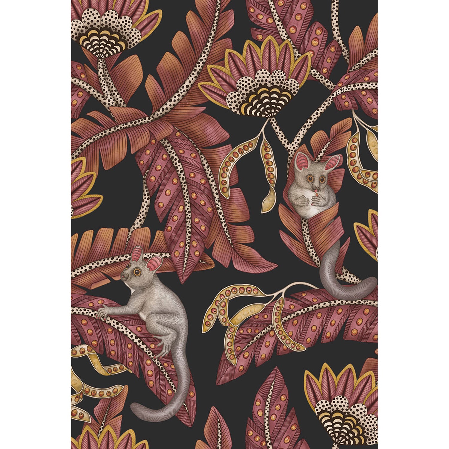 Cole & Son Ardmore Jabula Bush Baby Wallpaper