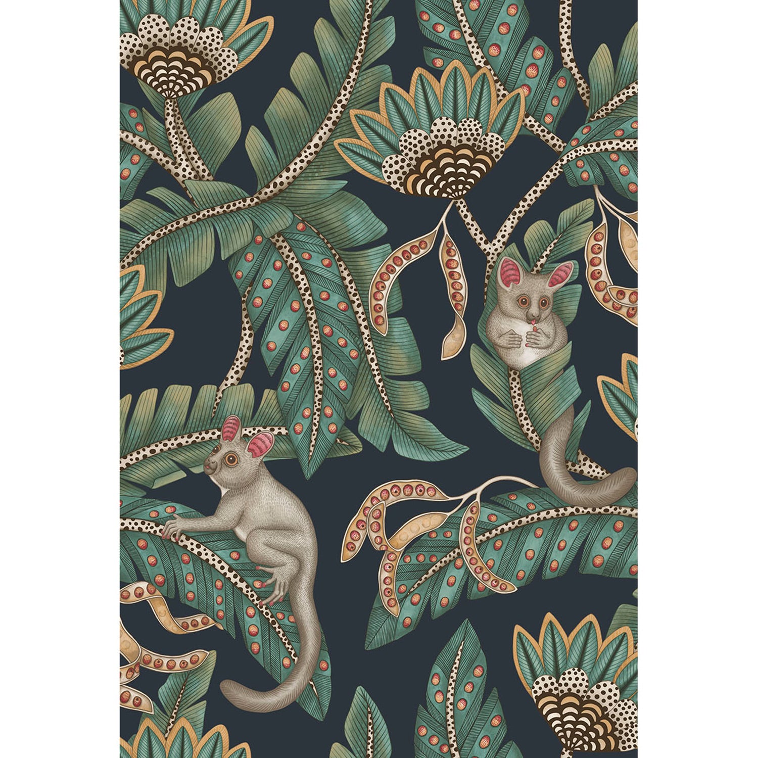 Cole & Son Ardmore Jabula Bush Baby Wallpaper