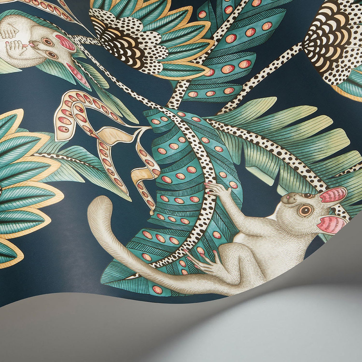 Cole & Son Ardmore Jabula Bush Baby Wallpaper