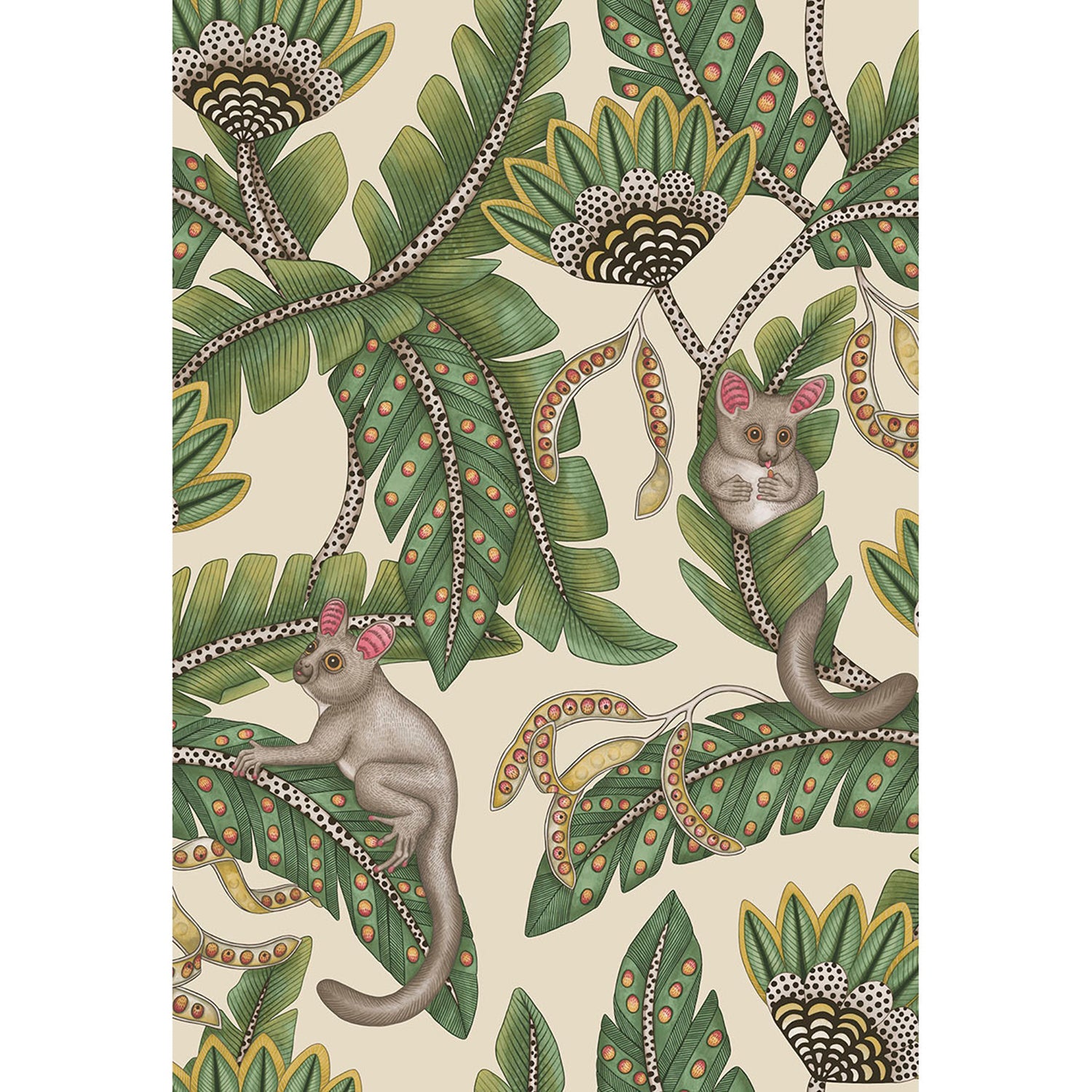 Cole & Son Ardmore Jabula Bush Baby Wallpaper