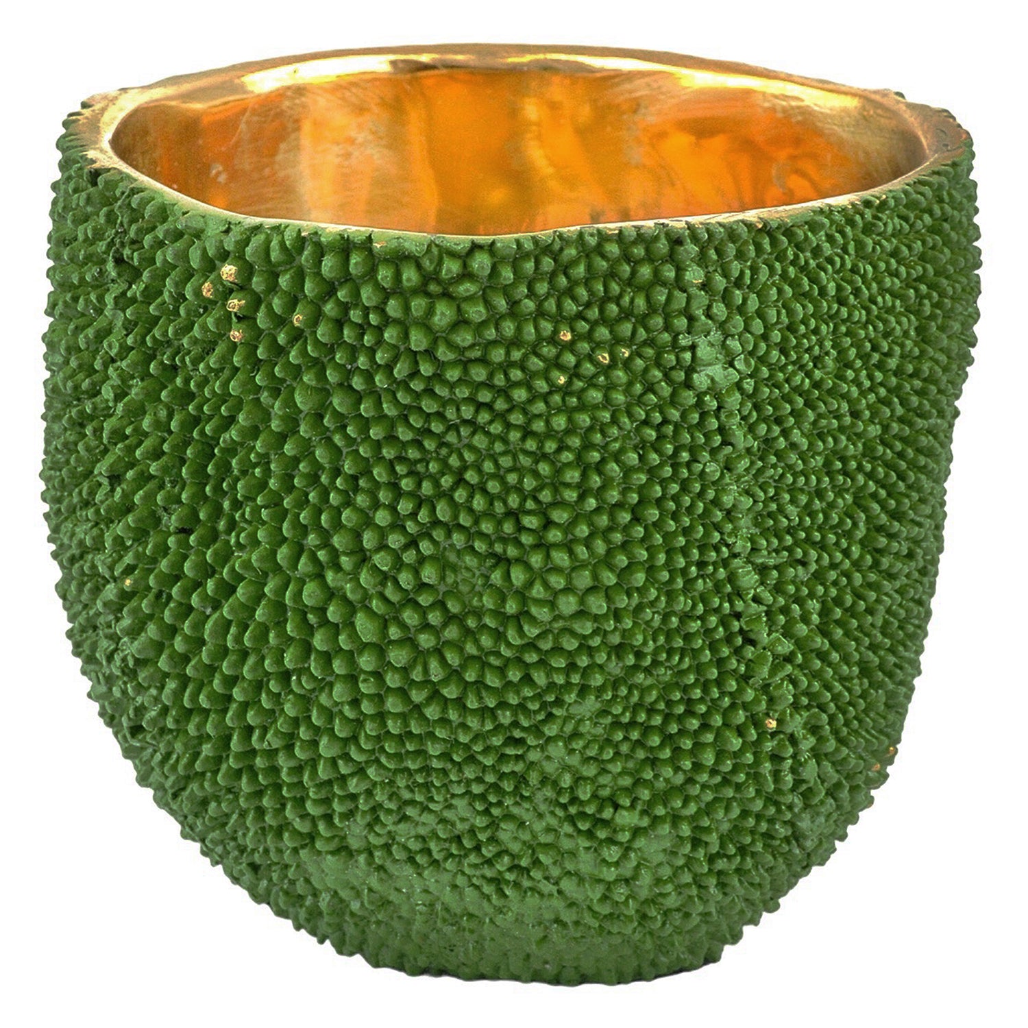 Currey & Co Jackfruit Vase Set of 3