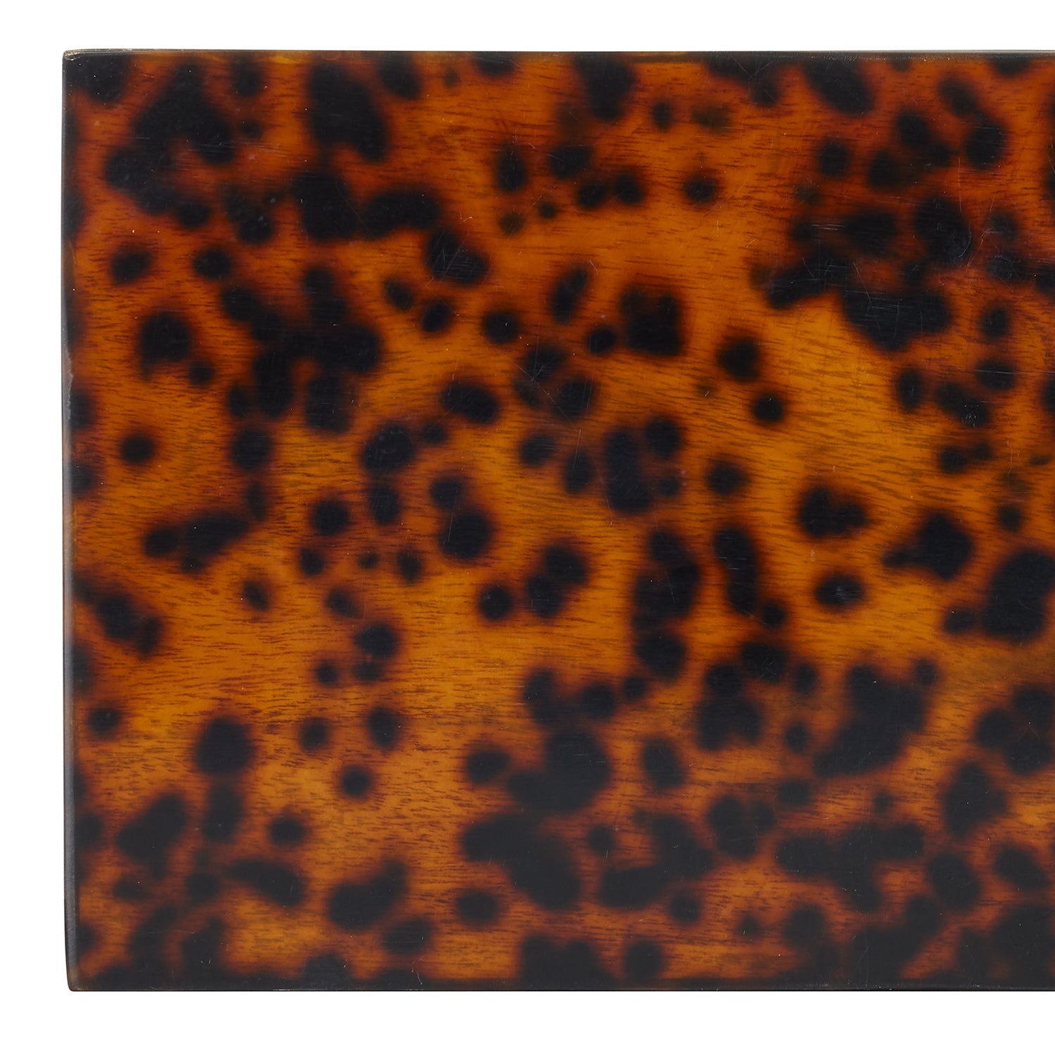 Currey & Co Faux Tortoise Box Set of 2