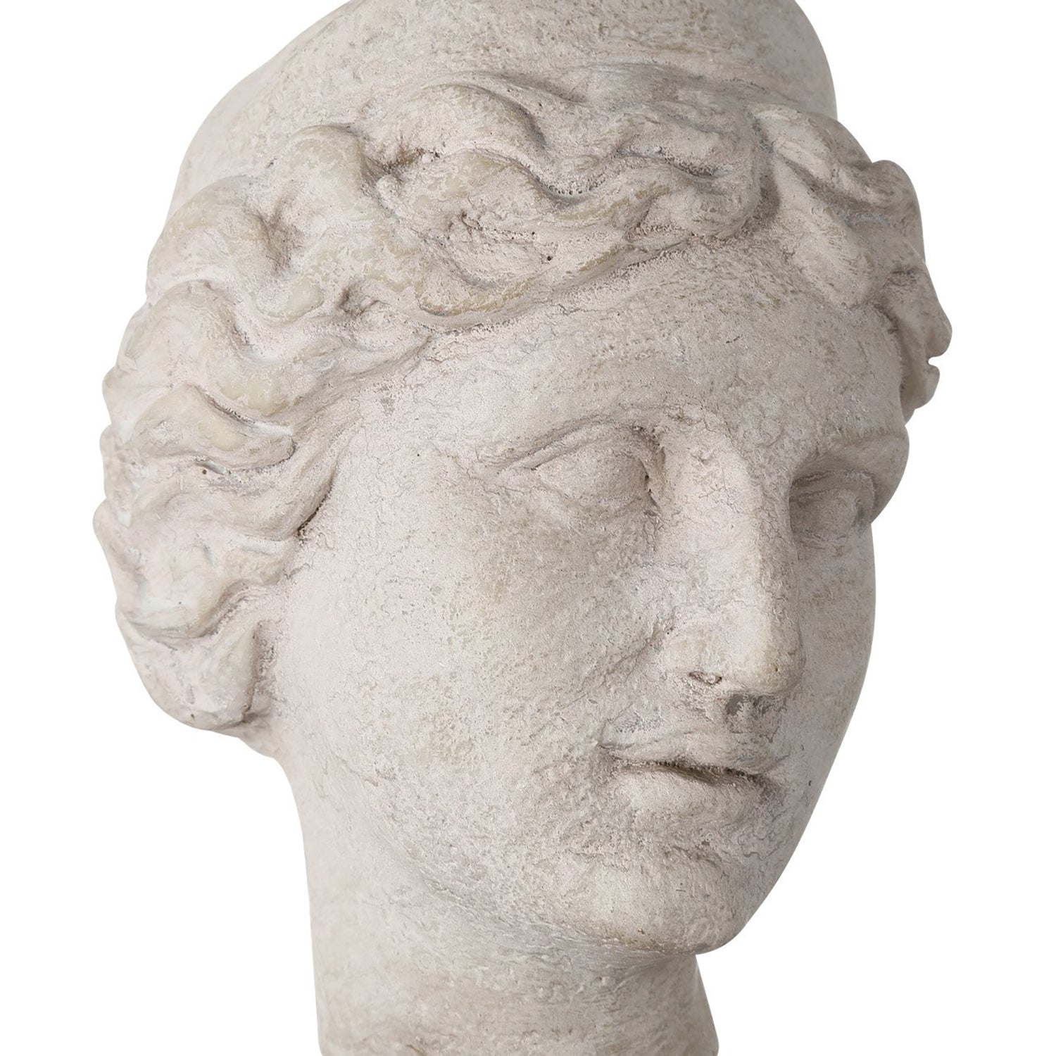 Currey & Co Venus Head on Stand Set of 2