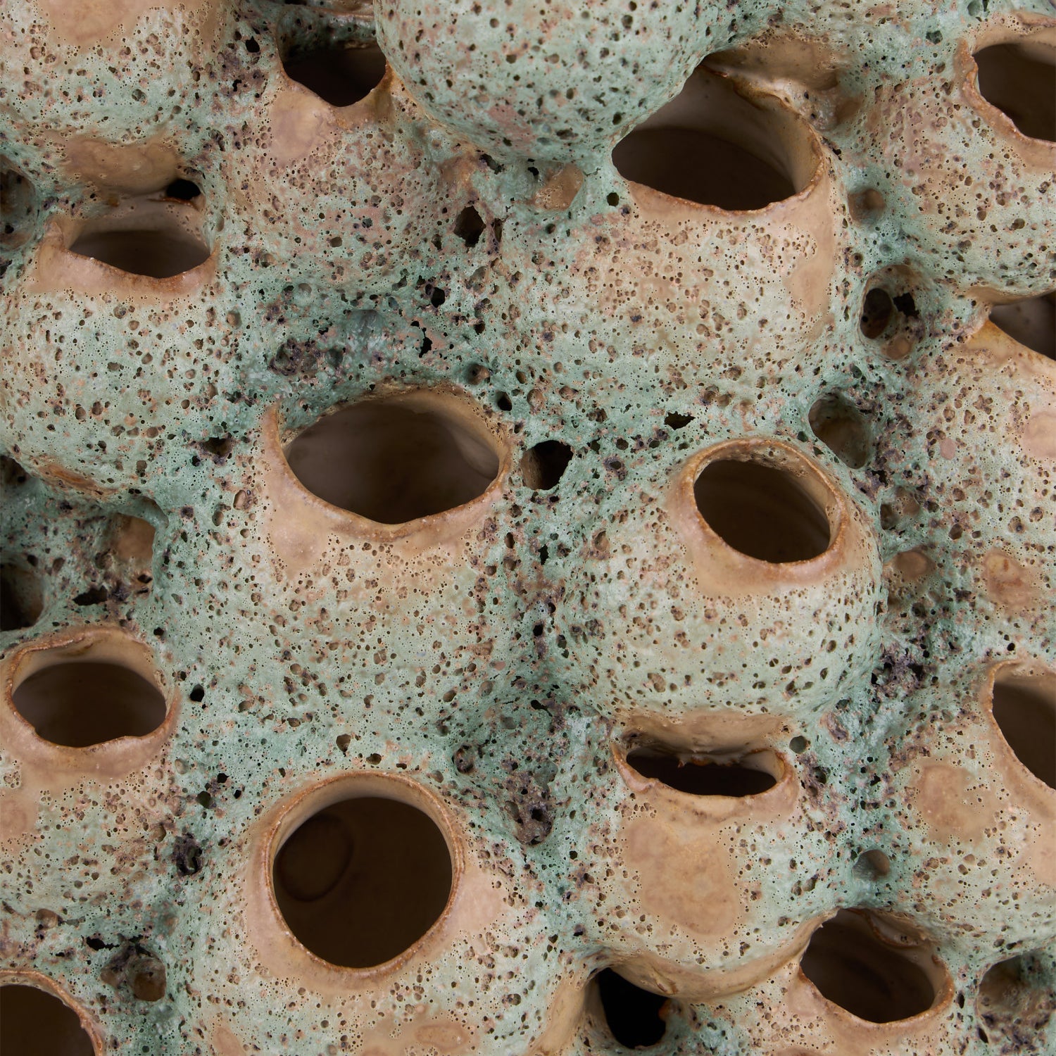 Currey & Co Sunken Boat Barnacle Object