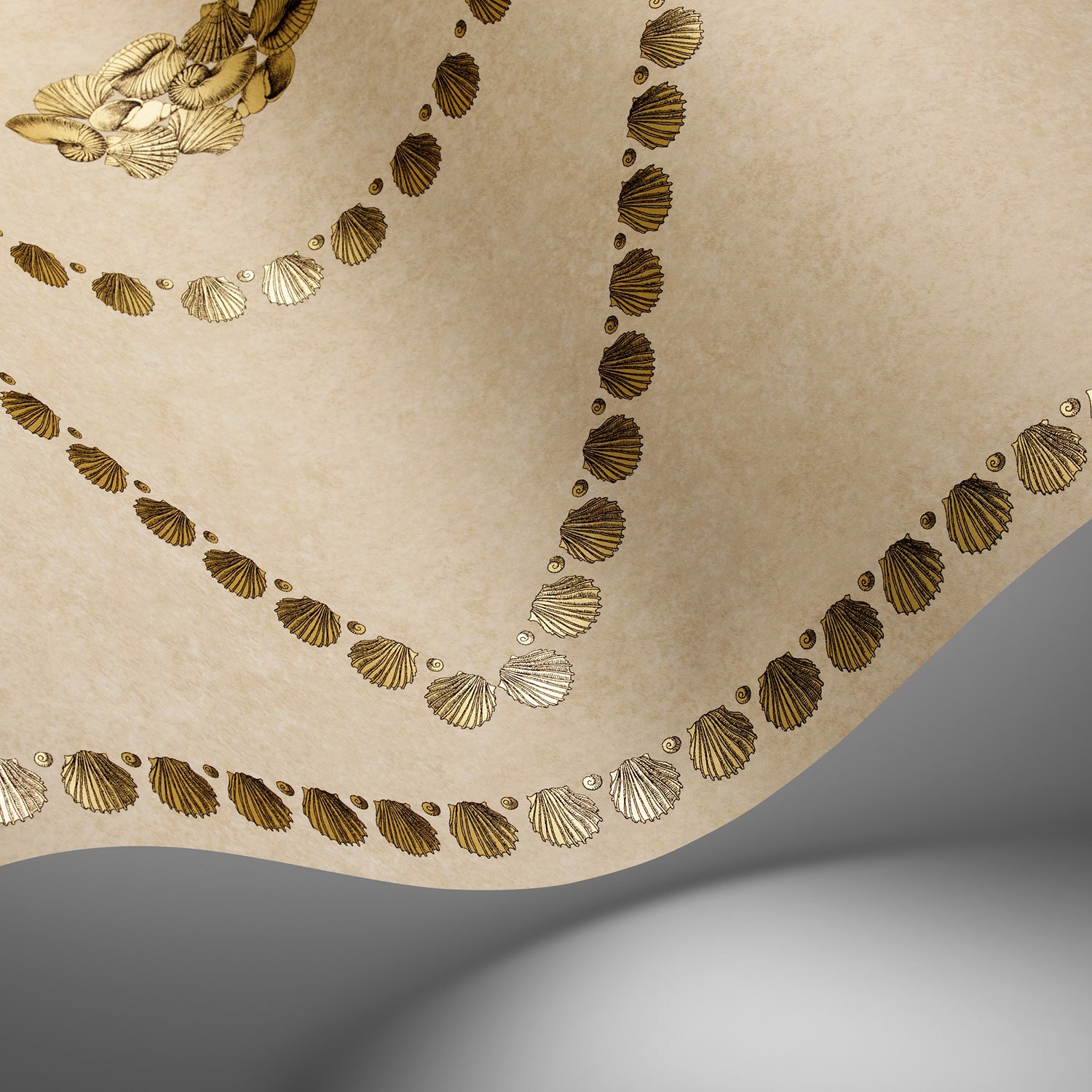 Cole & Son Fornasetti Senza Tempo II Conchiglie Wallpaper