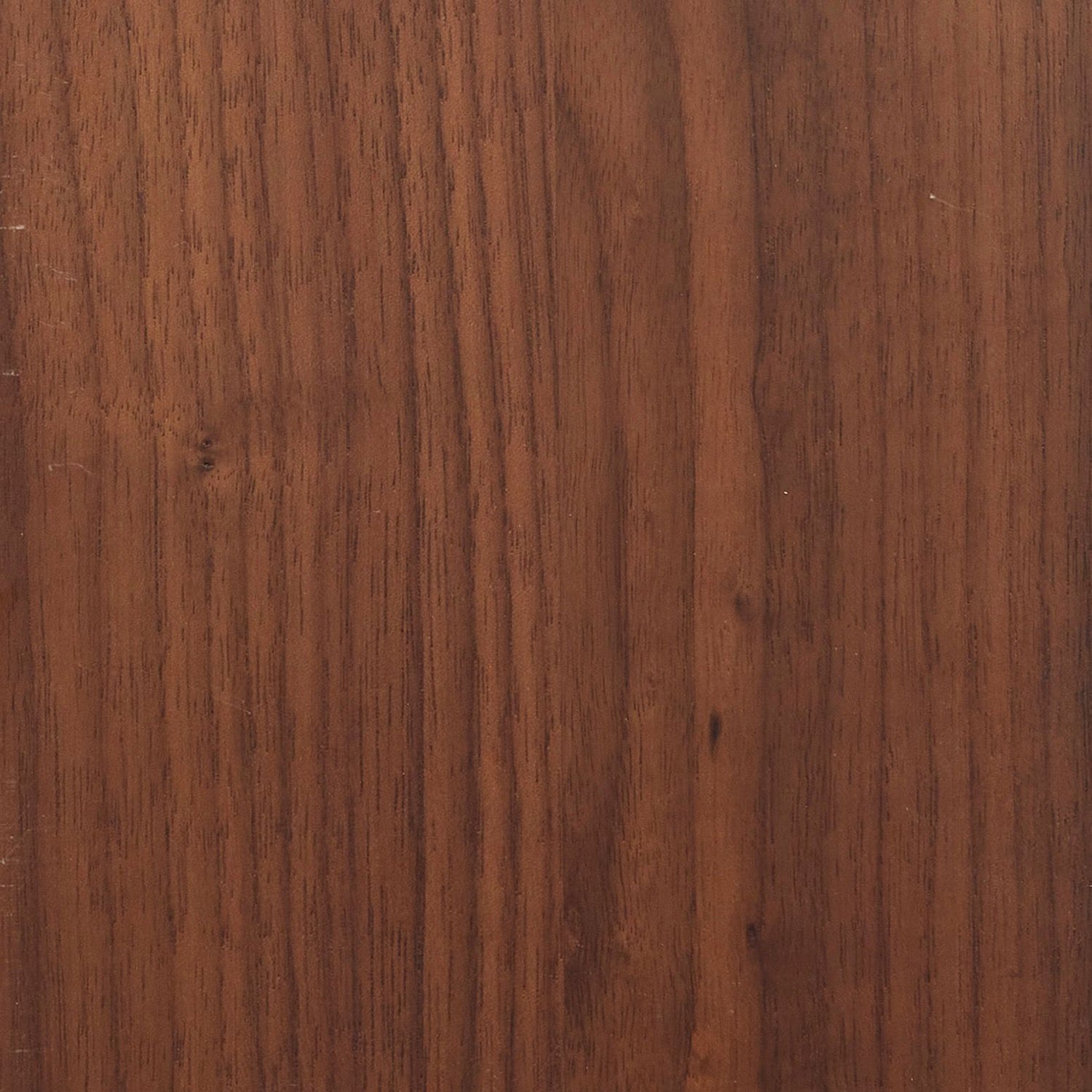 Interlude Home Fowler Dining Chair Set of 2